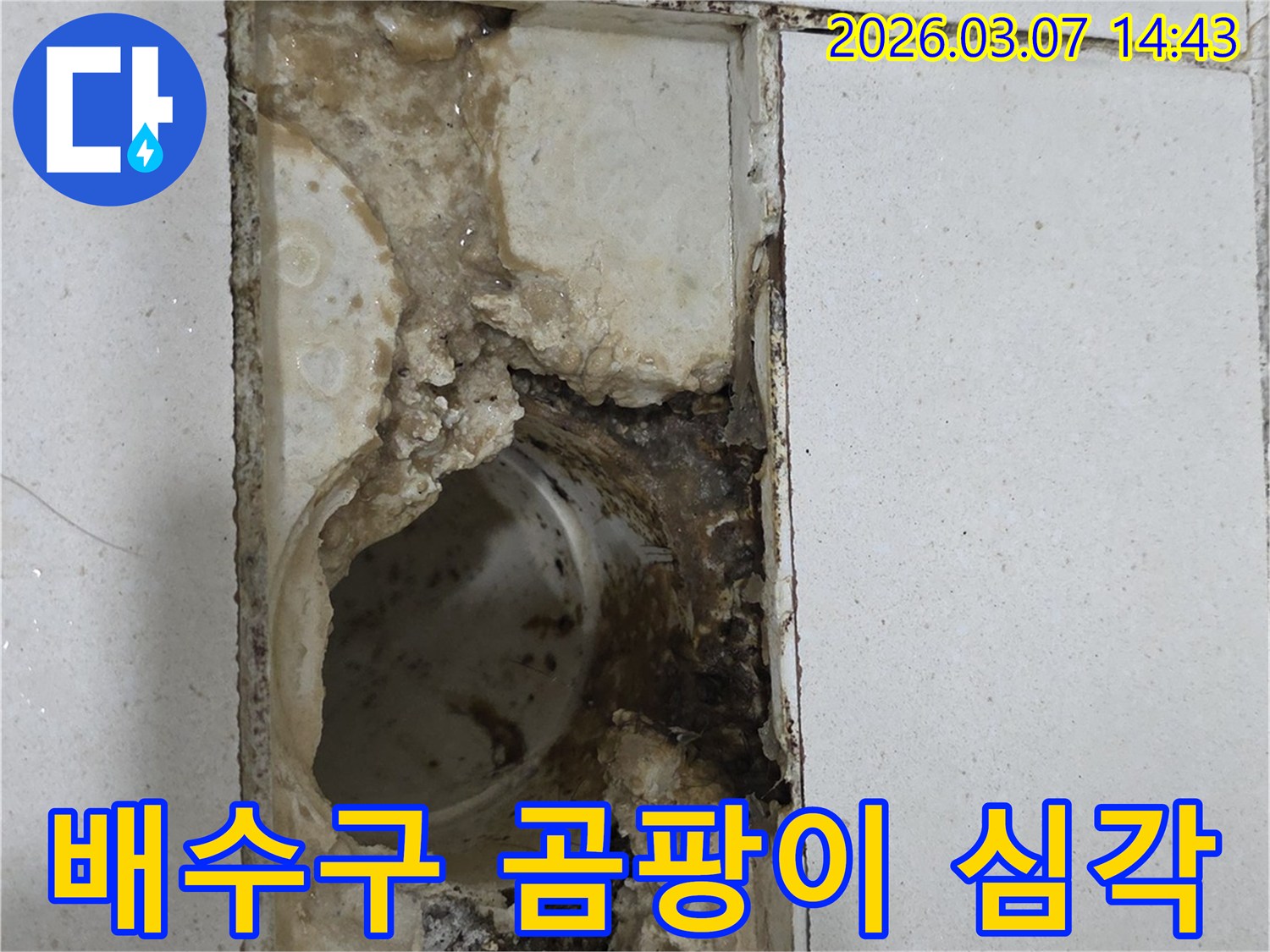 누수로-인해-배수구-주변에-심각하게-발생한-곰팡이의-모습입니다.