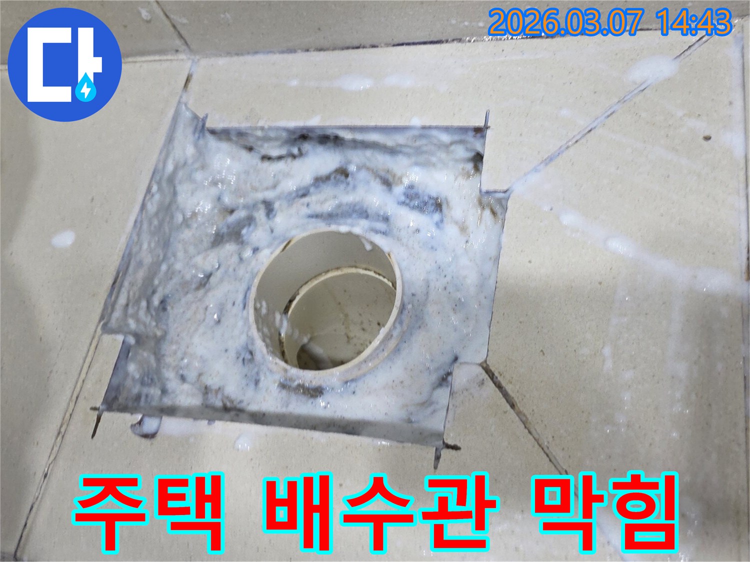 주택 화장실 배수구에서 하얀 거품이 넘쳐흐르는-배관 막힘으로 인한 역류 현장을 보여줍니다.