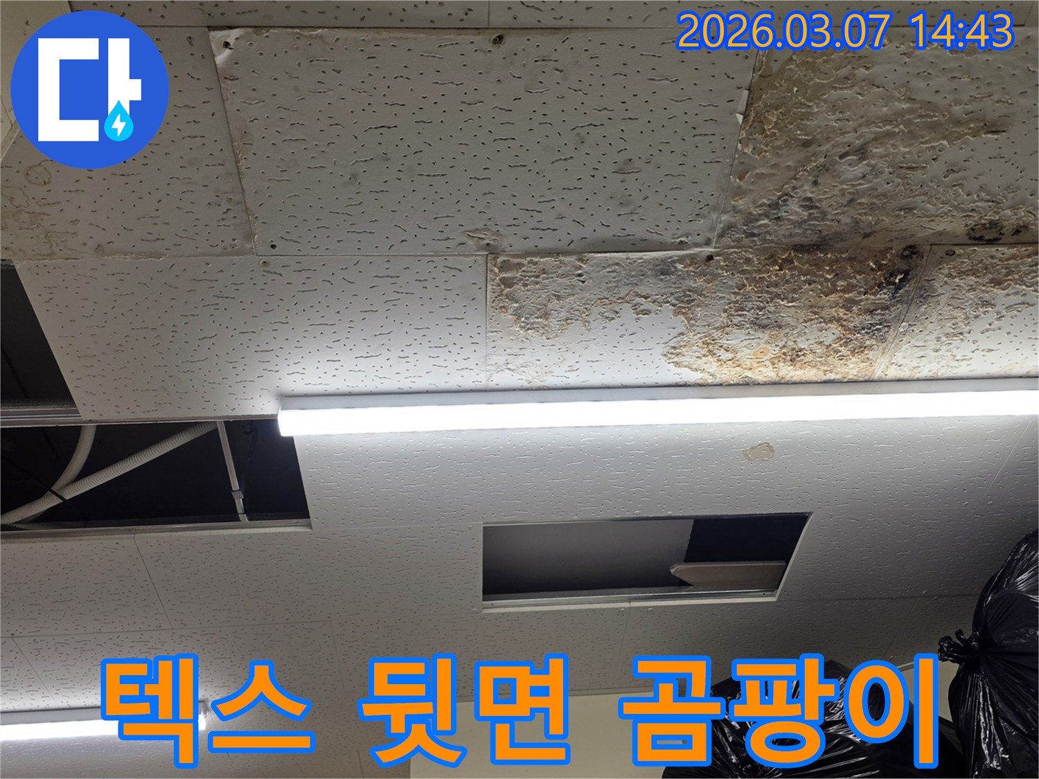 천장 텍스-뒷면에-누수로 인한-심한-곰팡이가-발생한-모습을-보여주는-사진입니다