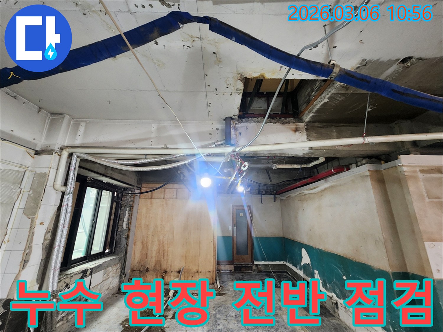 누수 현장의 전반적인 상황을-전문가가 꼼꼼히 점검하고-진단하는 모습