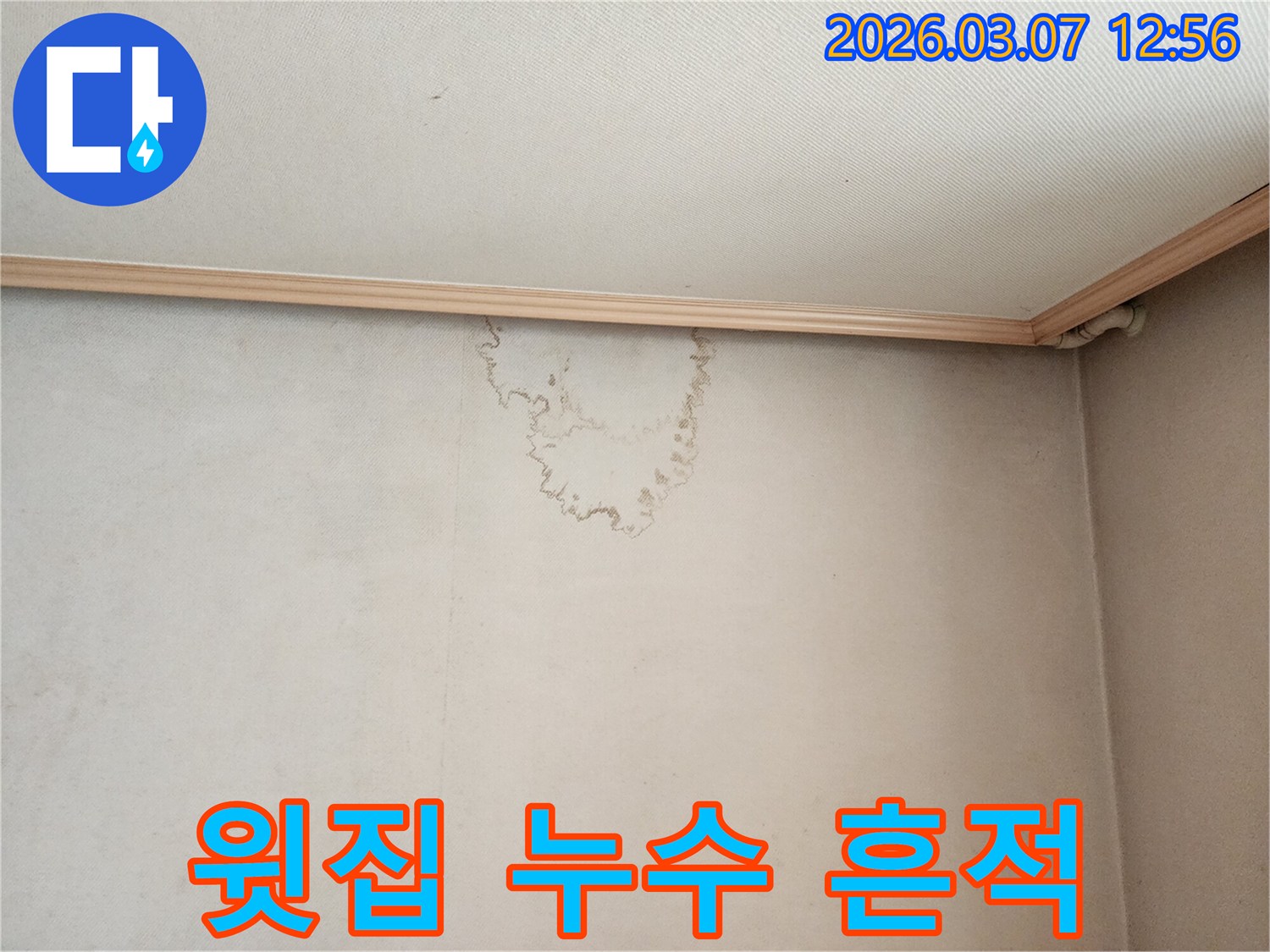 빌라 윗집에서 발생한-누수로 인한-벽면 물자국-곰팡이 발생 전-신속한 조치 필요