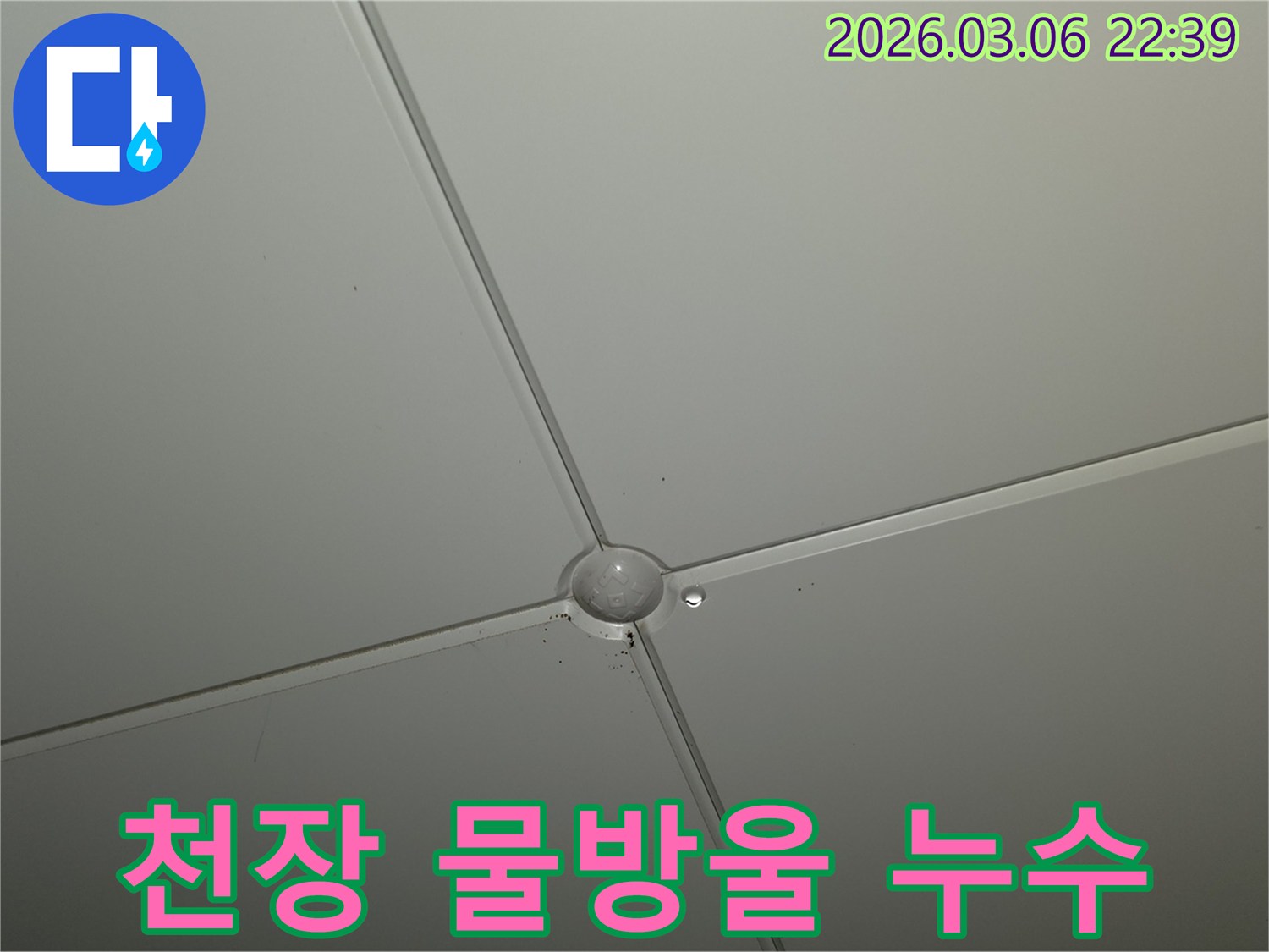 천장 마감재 교차점에서-물방울이 형성되어-떨어지기 직전의-누수 발생 현장