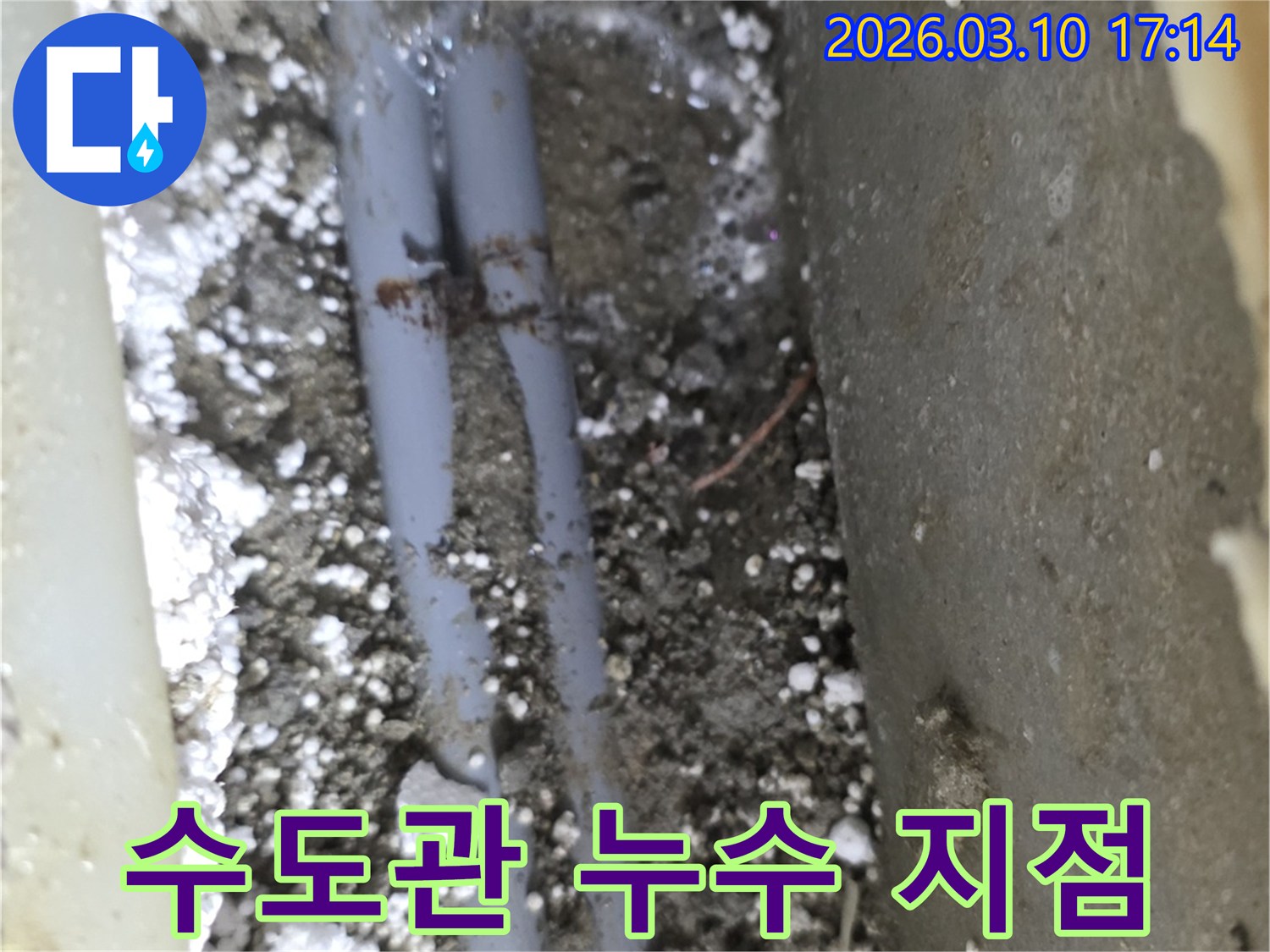 땅속에 묻힌 수도관 주변의 젖은 흙과-누수 발생 지점을 명확히 보여주는-정밀 탐지 현장