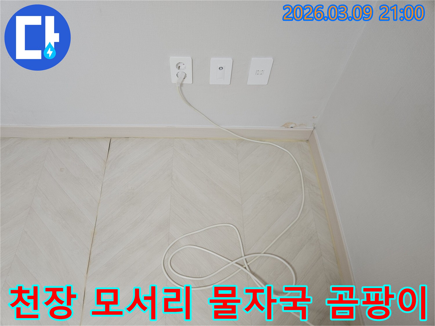 천장과-벽의-모서리에서-발견된-물자국과-곰팡이-발생을-진단하는-모습입니다