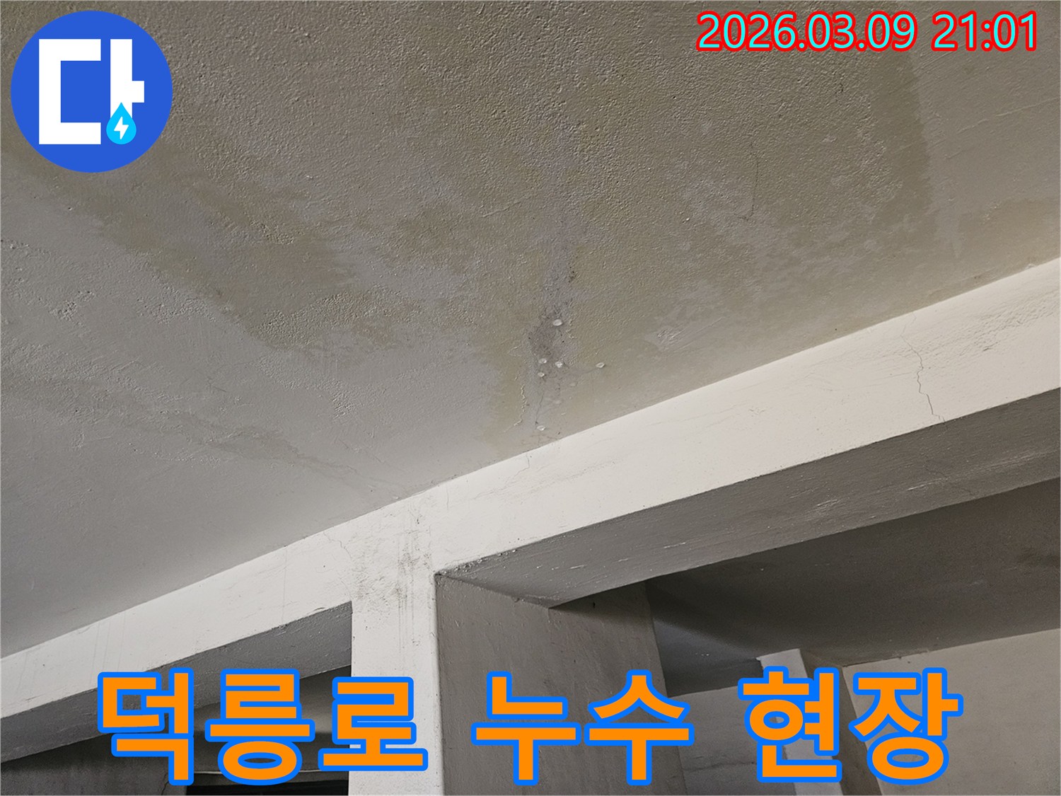 도봉구 덕릉로의-한 건물-천장에서-물이 새어-얼룩지고-물방울이 맺힌-누수 현장-사진입니다.