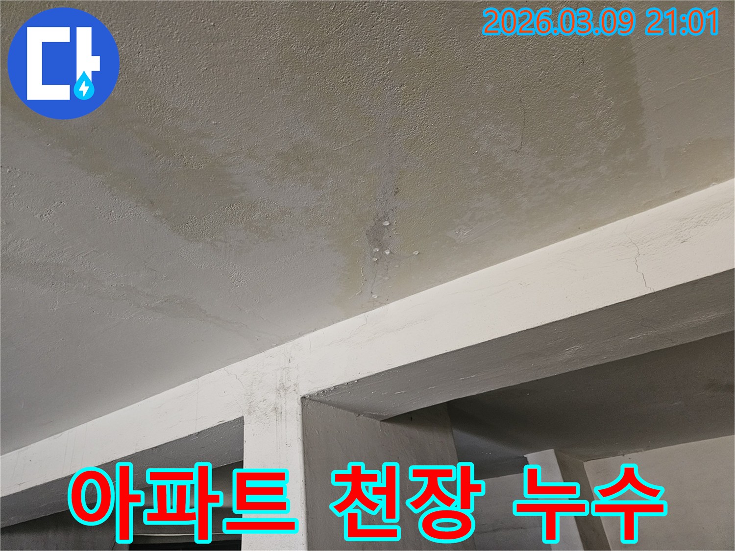 아파트 천장에서-물이 새어-얼룩지고-물방울이 맺힌-누수 상황을-복구하기-위해-탐지하는-사진입니다.