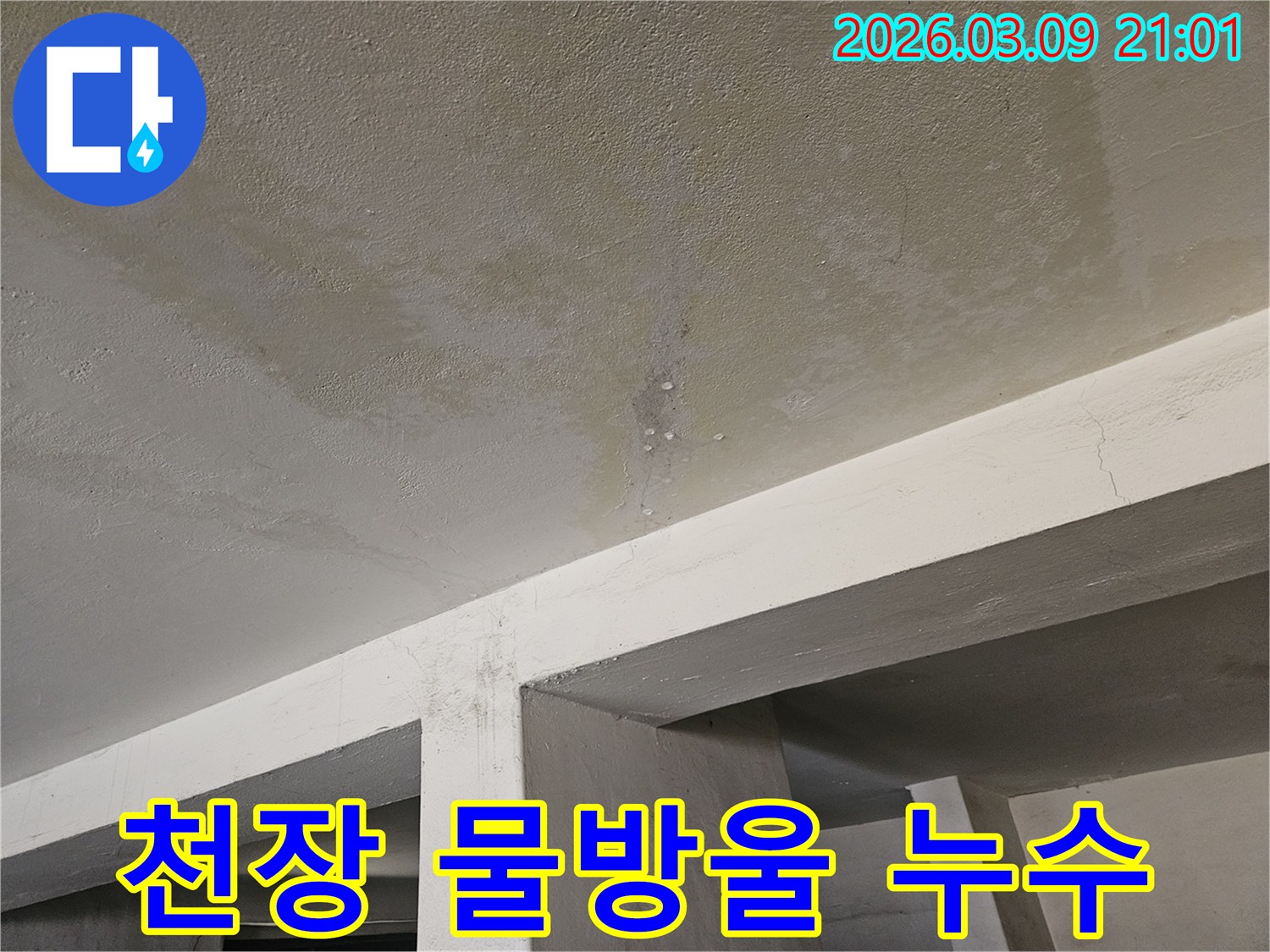 콘크리트 천장에서-물이 새어-물방울이 맺히고-얼룩진-누수 현장-사진입니다.