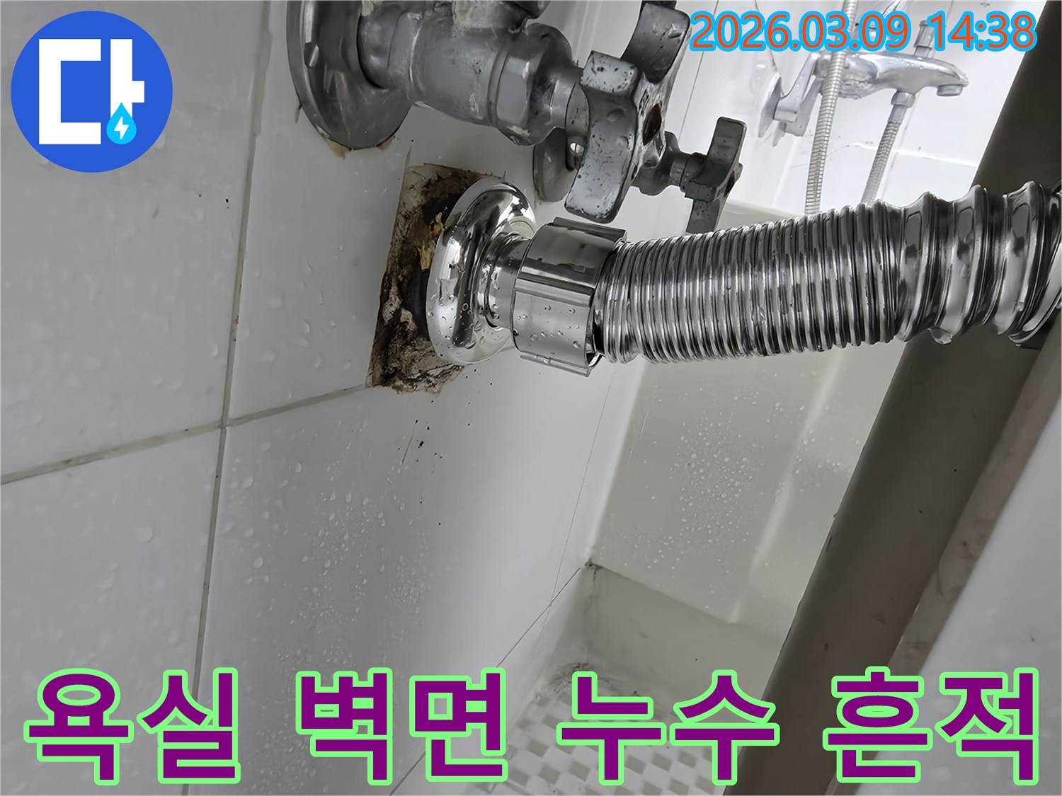 욕실-벽면-타일-뒤에서-발생한-누수로-인해-물이-새고-곰팡이가-생긴-모습입니다