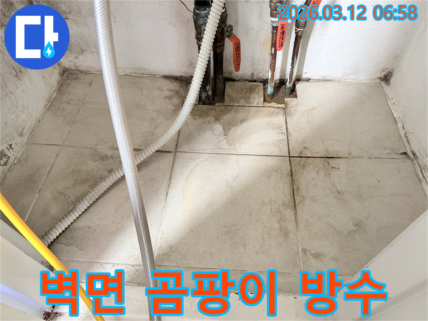 누수로-인해-벽면-하단에-발생한-심한-곰팡이와-젖은-바닥-타일을-보여주는-사진