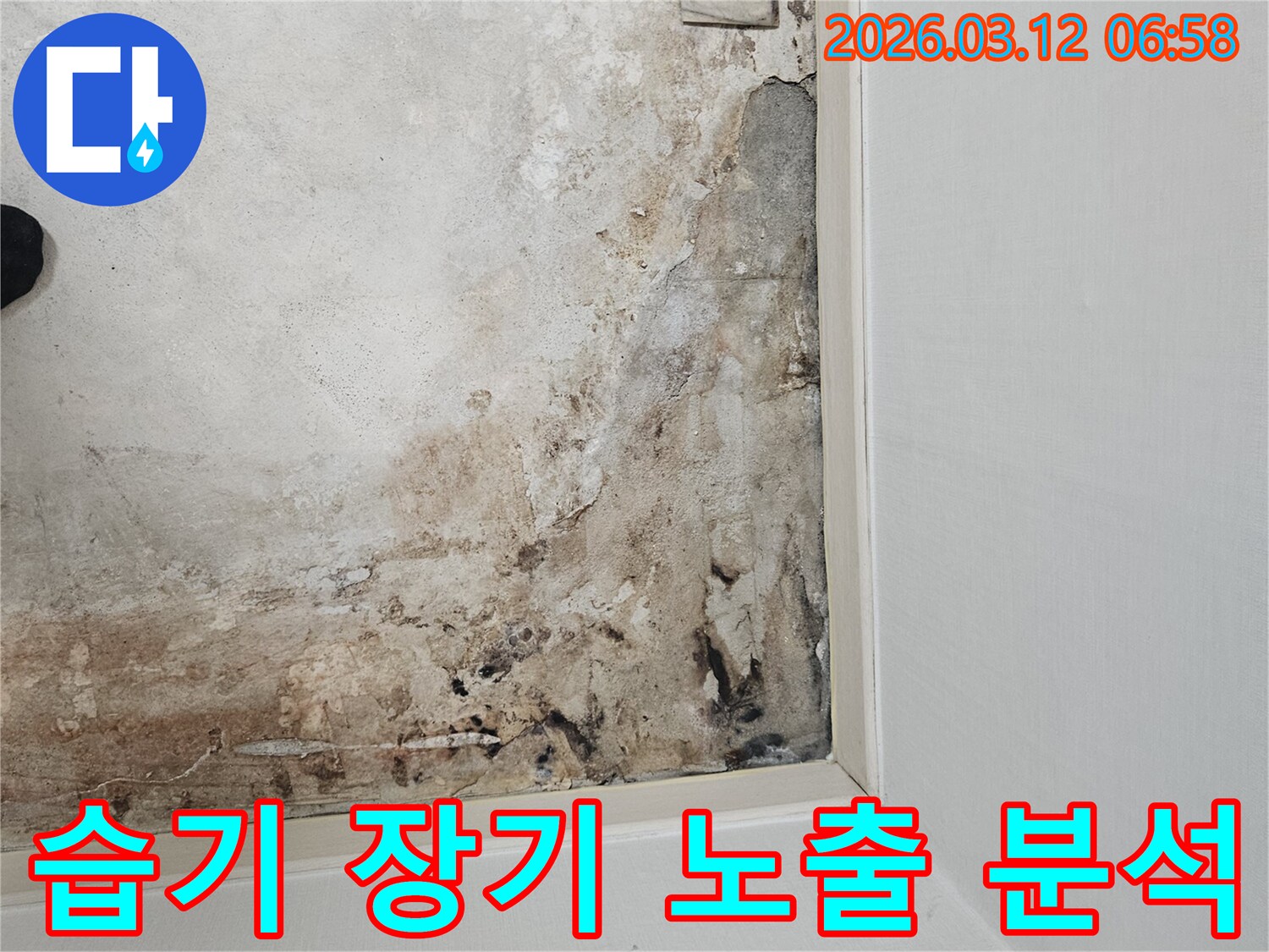 마포구-누수-현장-콘크리트-습기-장기-노출-손상-분석-중