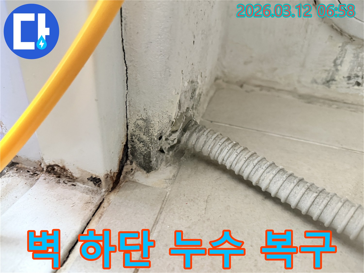마포구-신공덕동-다세대-주택-벽-하단부의-심각한-누수-흔적과-곰팡이-상태-사진