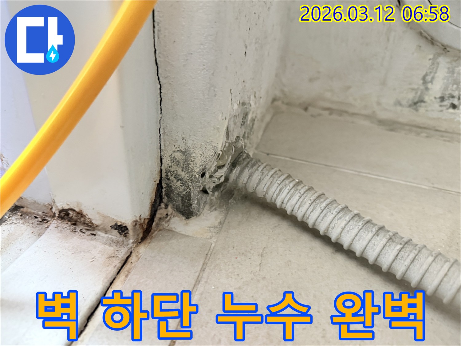 마포구-용강동-다세대-주택-벽-하단부의-심각한-누수-흔적과-곰팡이-상태-사진