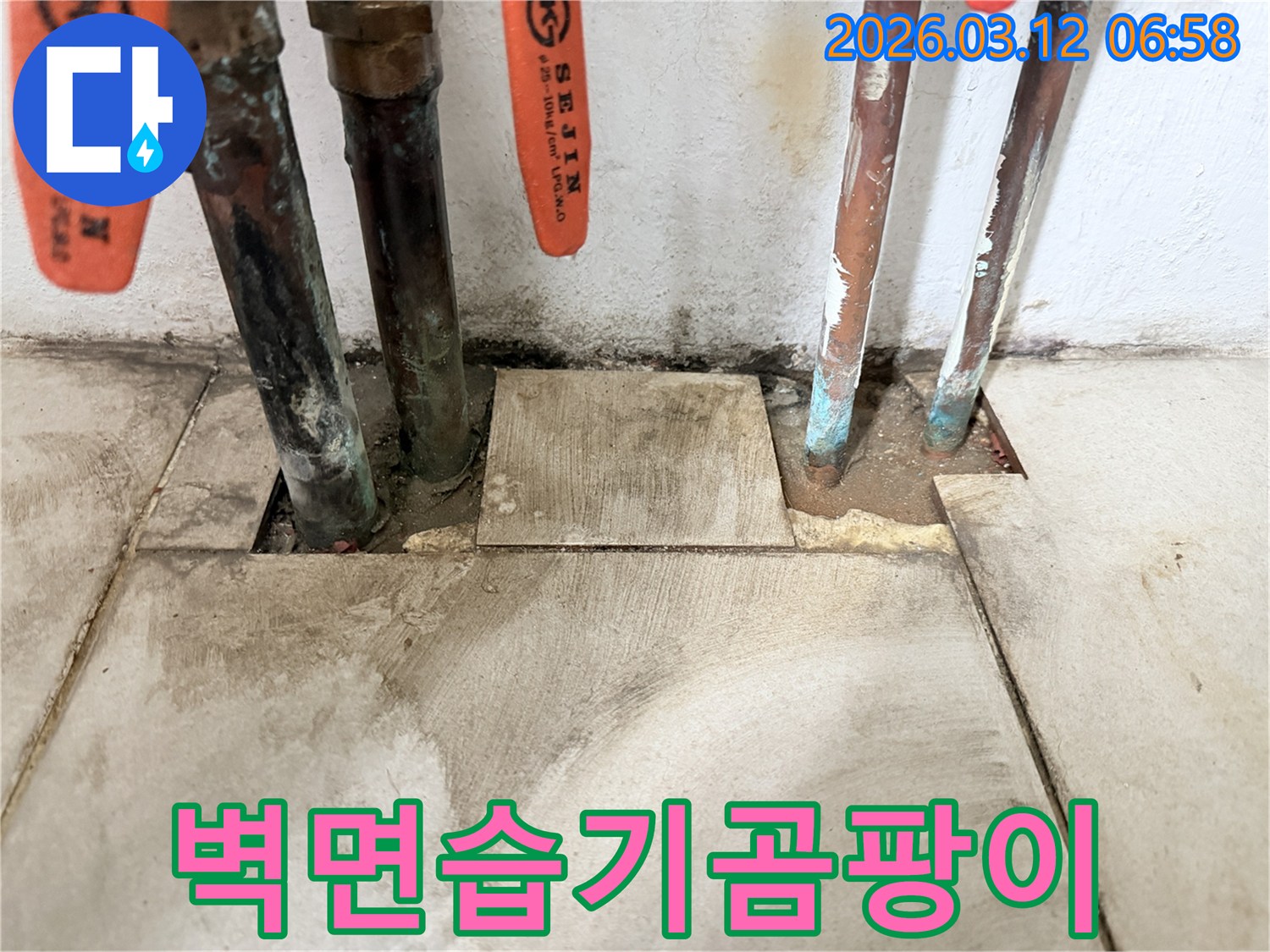 마포구-현장에서-오래된-배관의-누수로-인해-벽면에-발생한-습기-변색과-곰팡이를-확인하고-있습니다