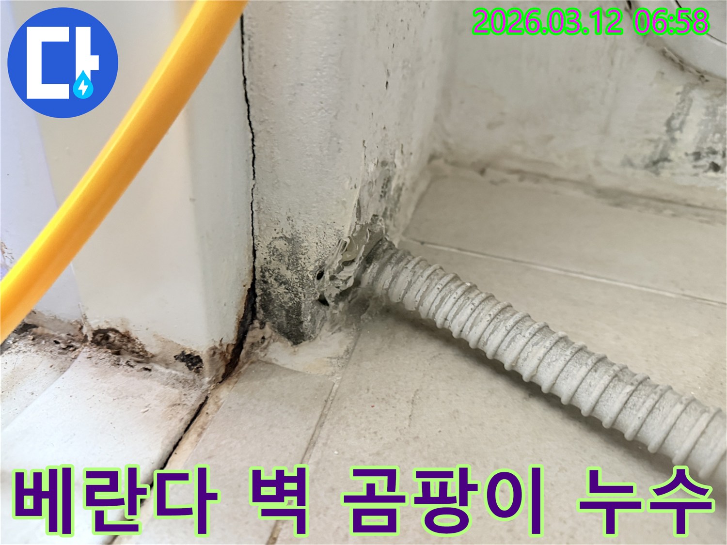 물샘-현상으로-인해-벽지가-손상되고-곰팡이가-번진-마포구-주택-내부