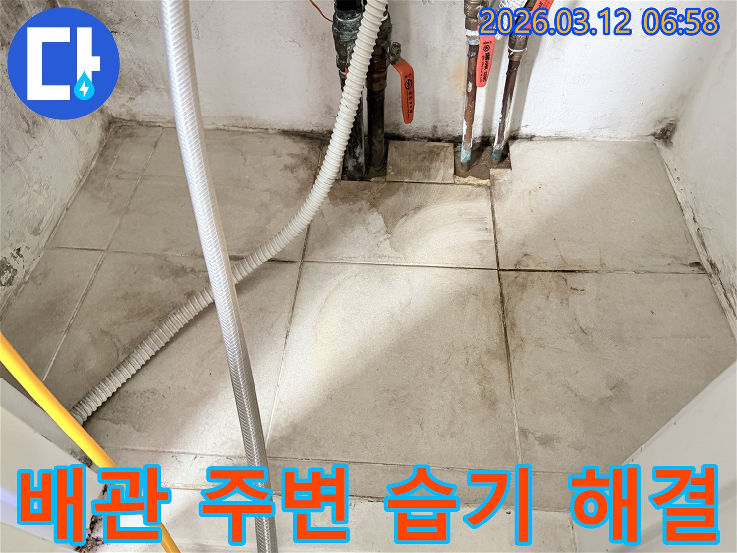 배관과-벽면-주변-타일의-젖은-흔적과-곰팡이가-보이는-누수-의심-현장-사진