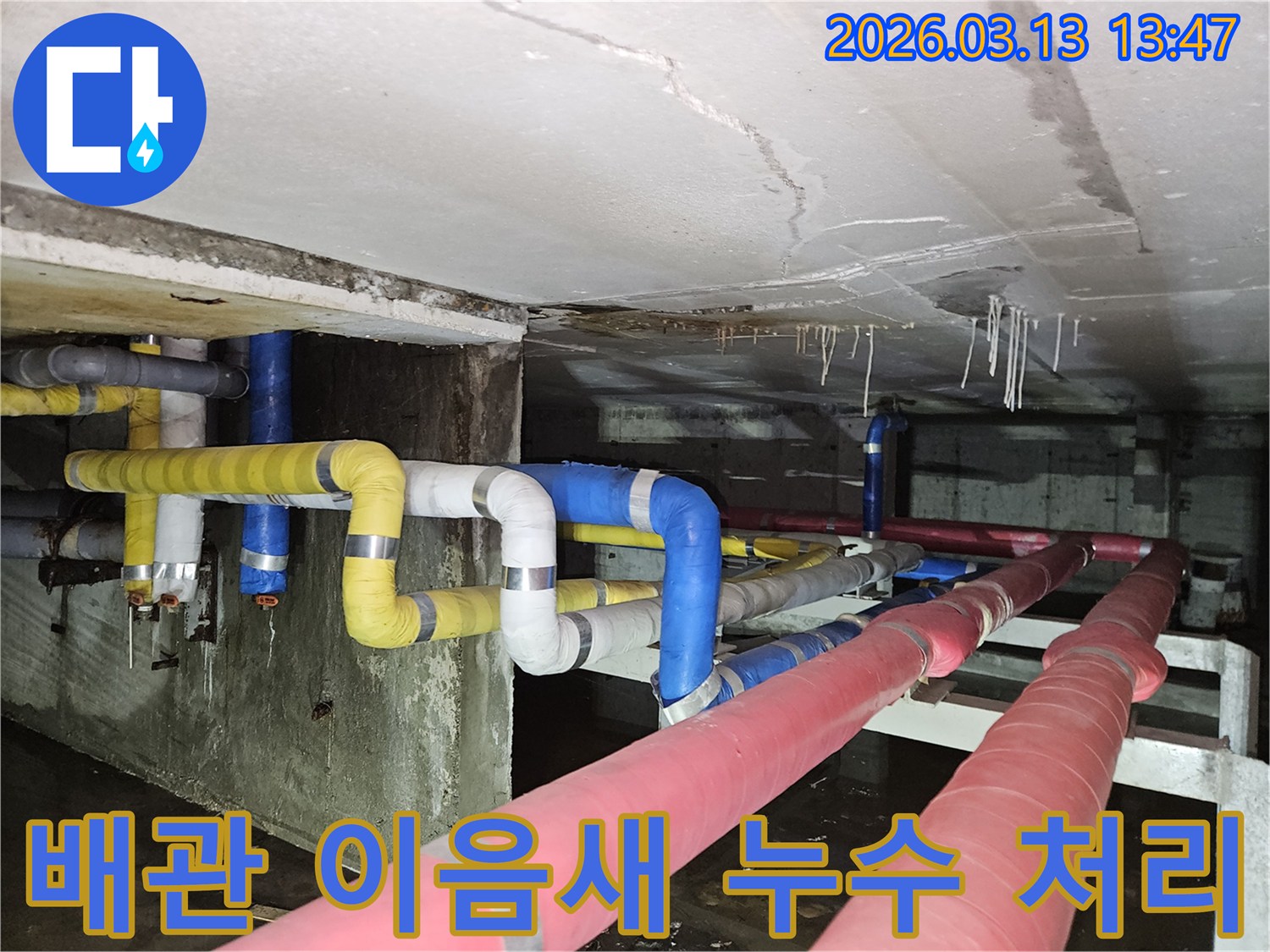 지하 배관의-이음새 부분에서-물이 새어 나와-천장과 바닥에-누수 흔적을 남긴-현장 사진