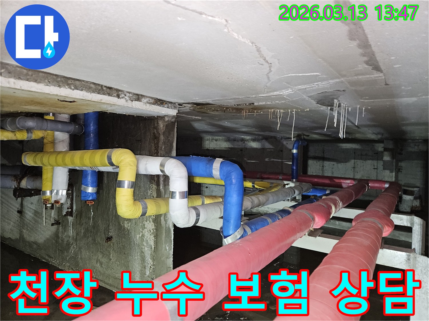 지하 천장에서-물이 떨어져-바닥에 고인 물과-천장의 손상 흔적을-보여주는 현장 사진