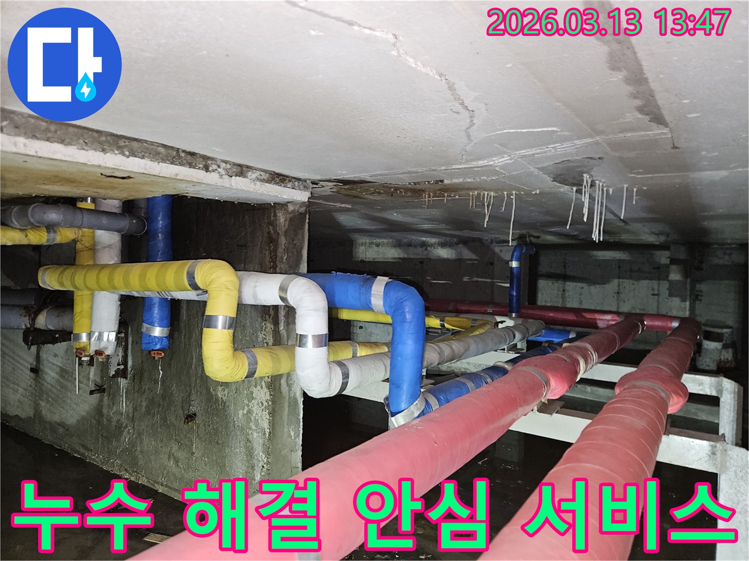 지하 천장에서-물이 떨어져-바닥에 고인 물과-천장의 손상 흔적을-보여주는 현장 사진