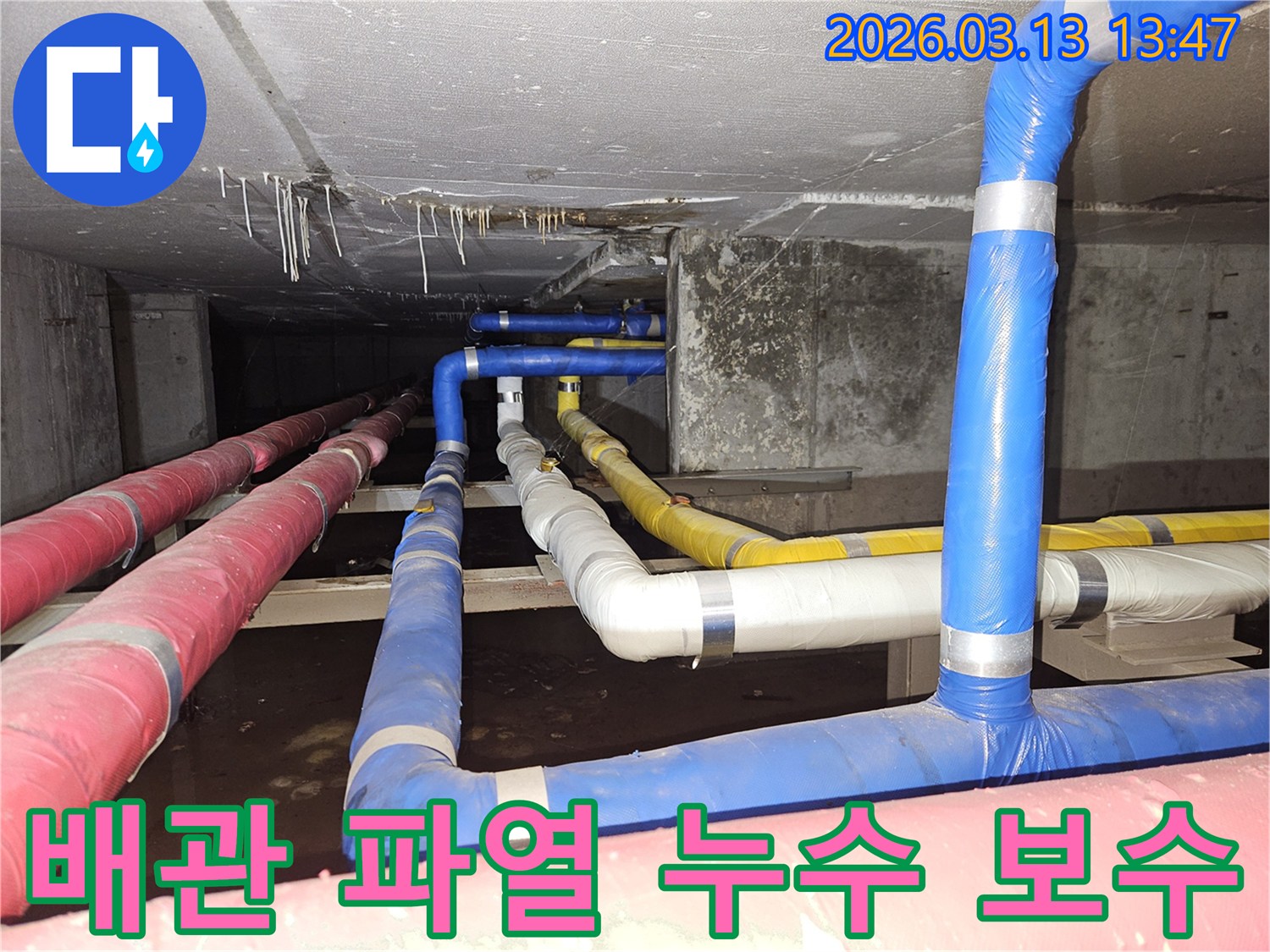 천장-아래-복잡하게-연결된-배관들에서-발생한-파열로-인한-누수를-정확히-진단하고-보수하는-전문가의-모습