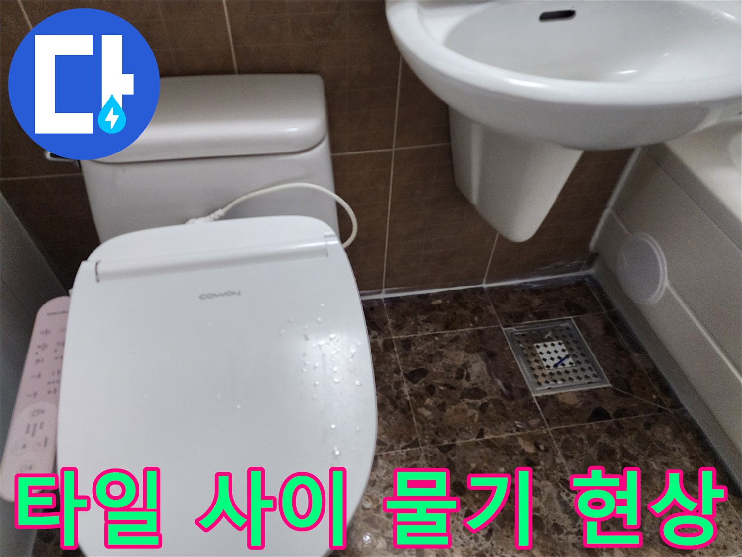 양변기 하단 타일에 맺힌 습기와 배수구 주변부