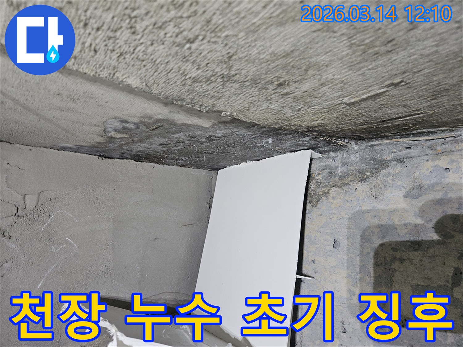 콘크리트-천장과-벽면의-초기-누수-흔적을-보여주는-현장으로-곰팡이-발생-전-징후-진단이-중요합니다