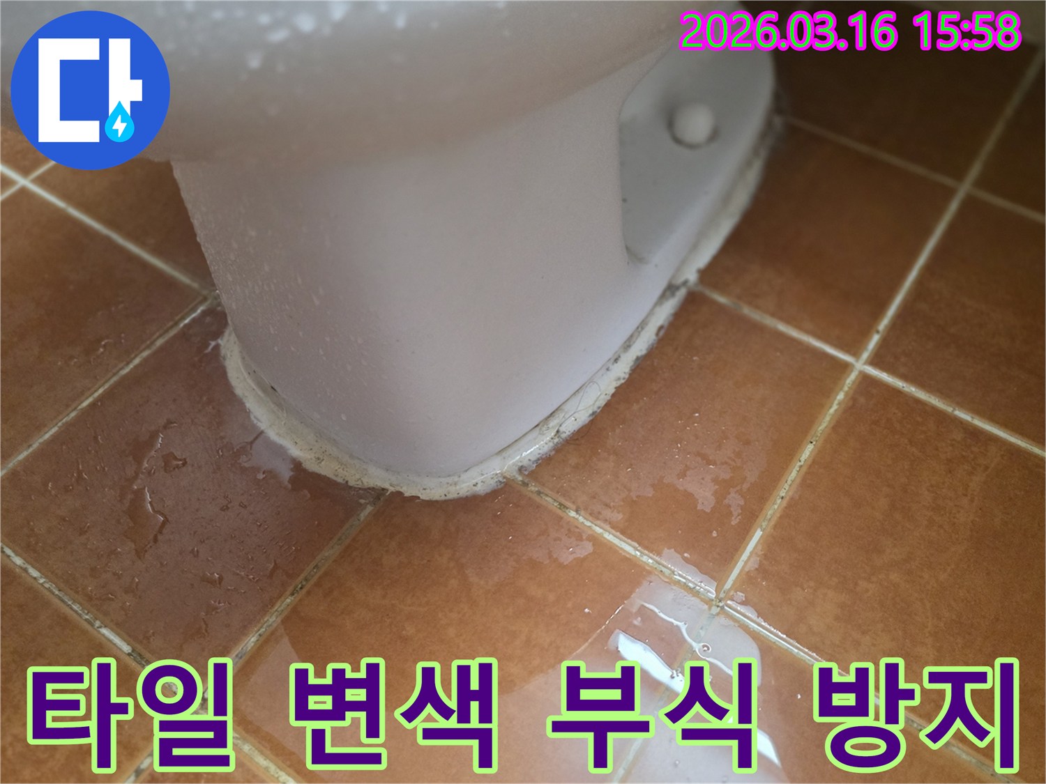 오래된 변기 실리콘 틈새로-물이 스며들어-타일 줄눈에 스며든 상황입니다