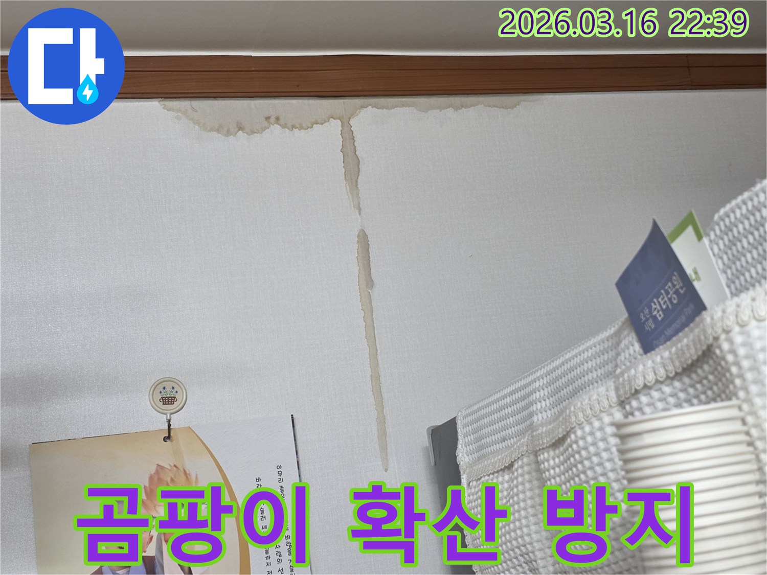 오산 운암로 빌라 벽에-누수로 인해 생긴-누런 물 얼룩과-곰팡이 확산 방지를 위한-항균 처리 작업