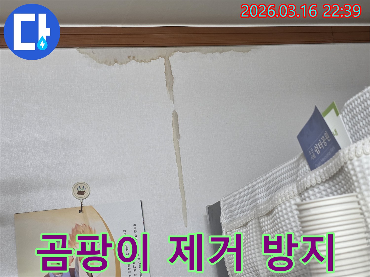 오산시 운암로 주택 벽에-누수로 인해 생긴-누런 물 얼룩과-곰팡이 제거 및-재발 방지 작업