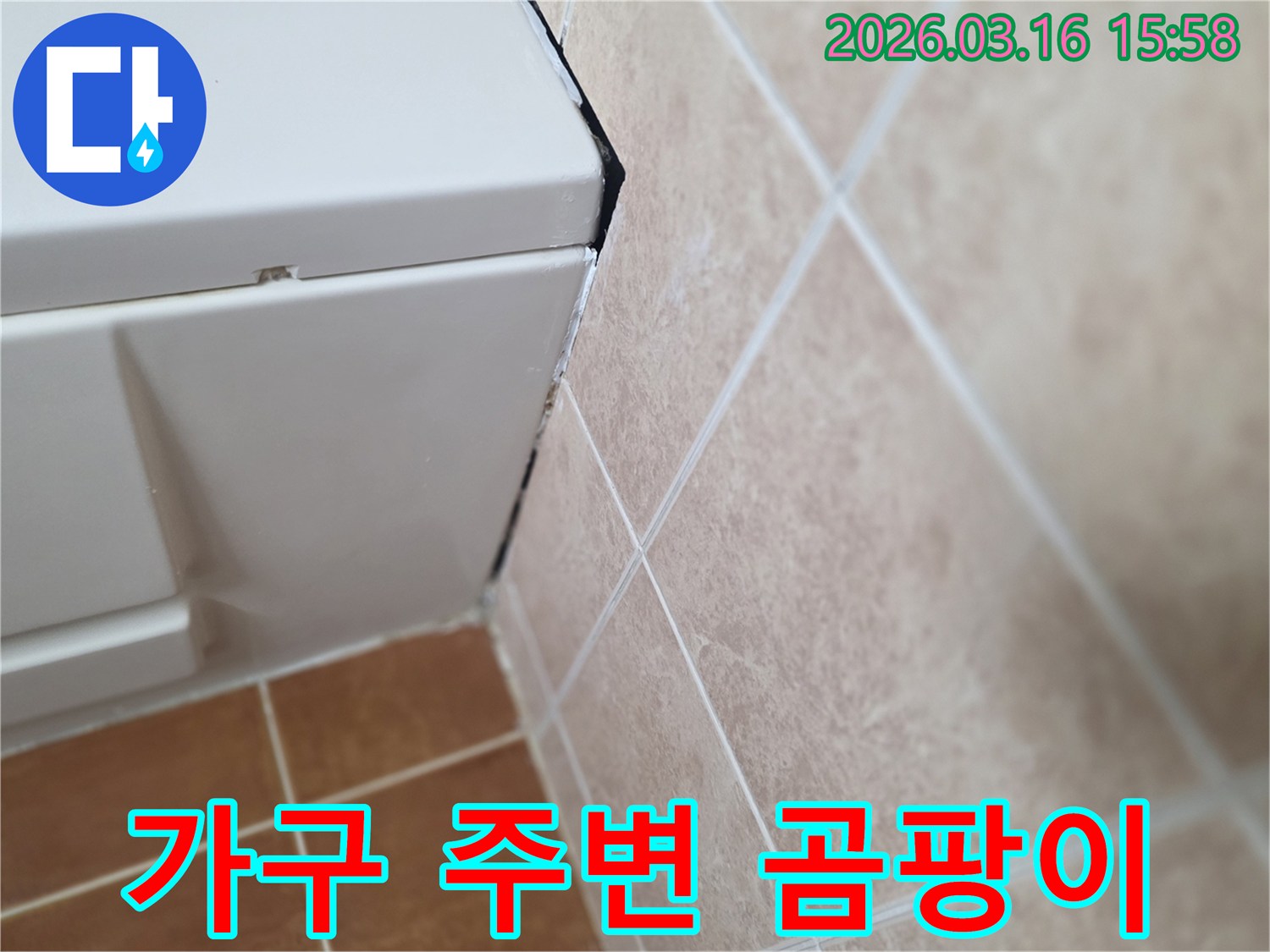 욕실 가구 주변의 검은 곰팡이-지속적인 습기 노출로 인한 문제