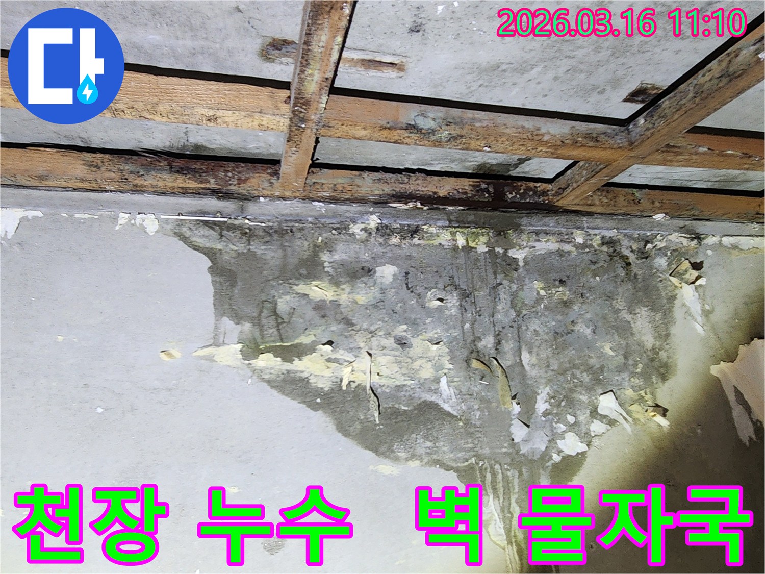 천장과 벽면을 따라 길게 이어진-누수 흔적과 벽지 손상 상태