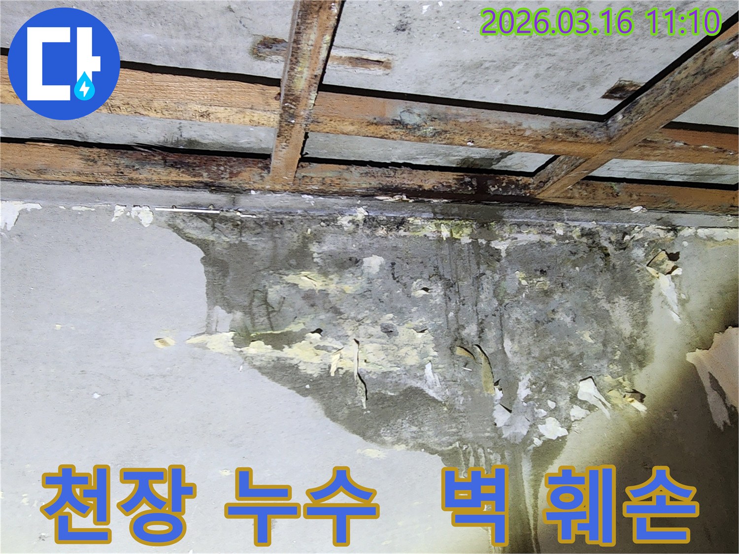 천장과 벽면의 심각한 누수 피해로 인해-마감재가 떨어지고 곰팡이가 번식한 모습