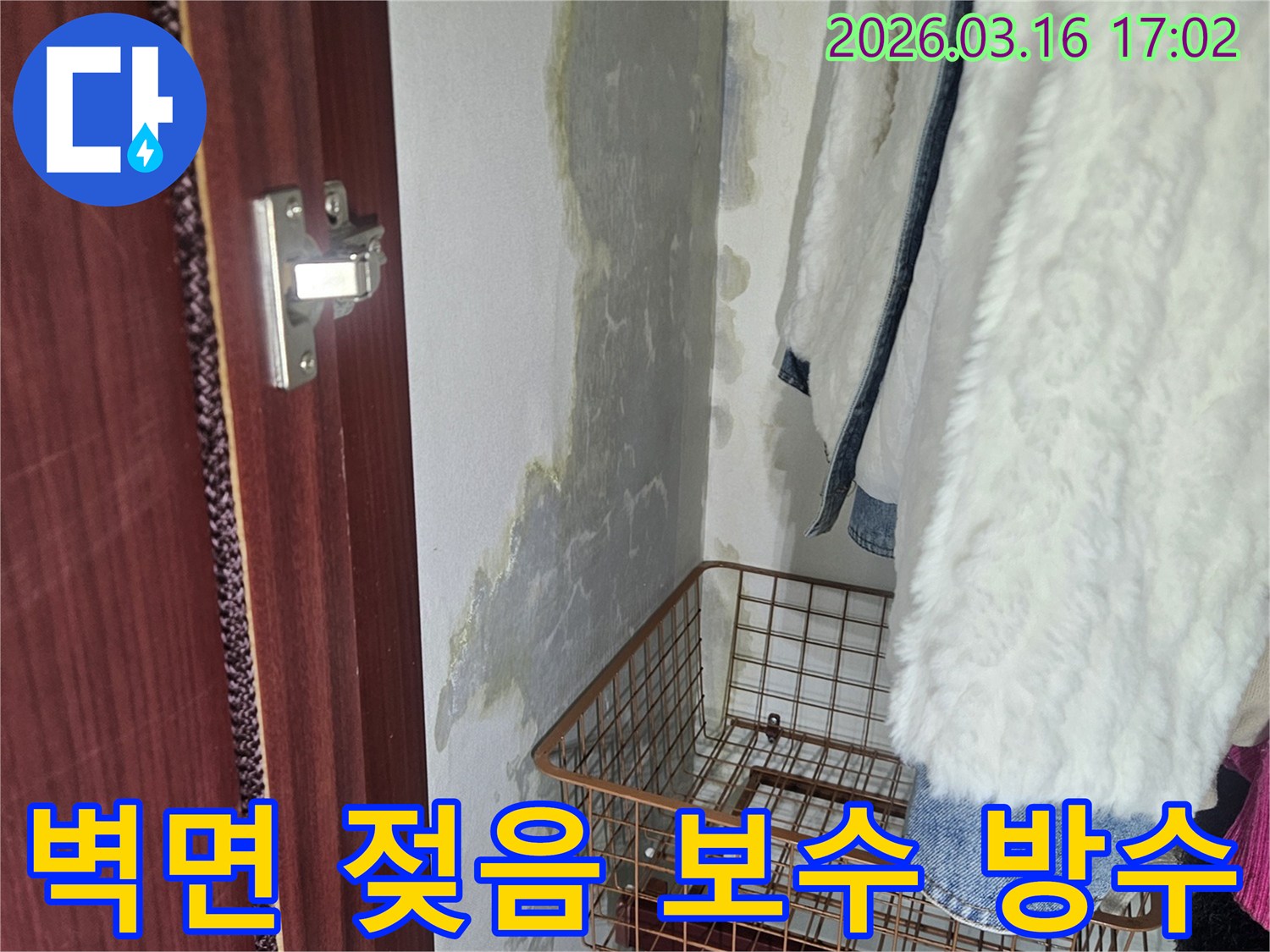 벽면 하단에- 물이 스며들어- 젖은 흔적과- 곰팡이가 발생한- 누수 현장