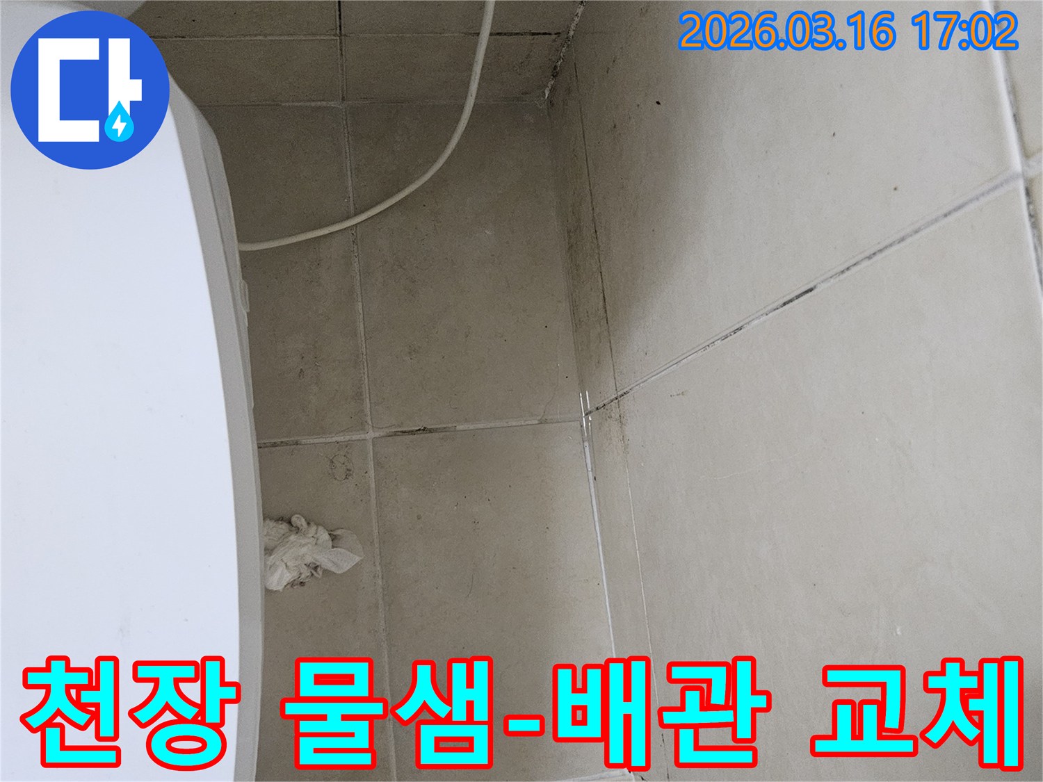 빌라 화장실 천장과 벽면 타일에 검은 곰팡이가 심하게 번져있으며-천장 일부가 손상되어 내부 배관 누수가 의심되는 현장입니다