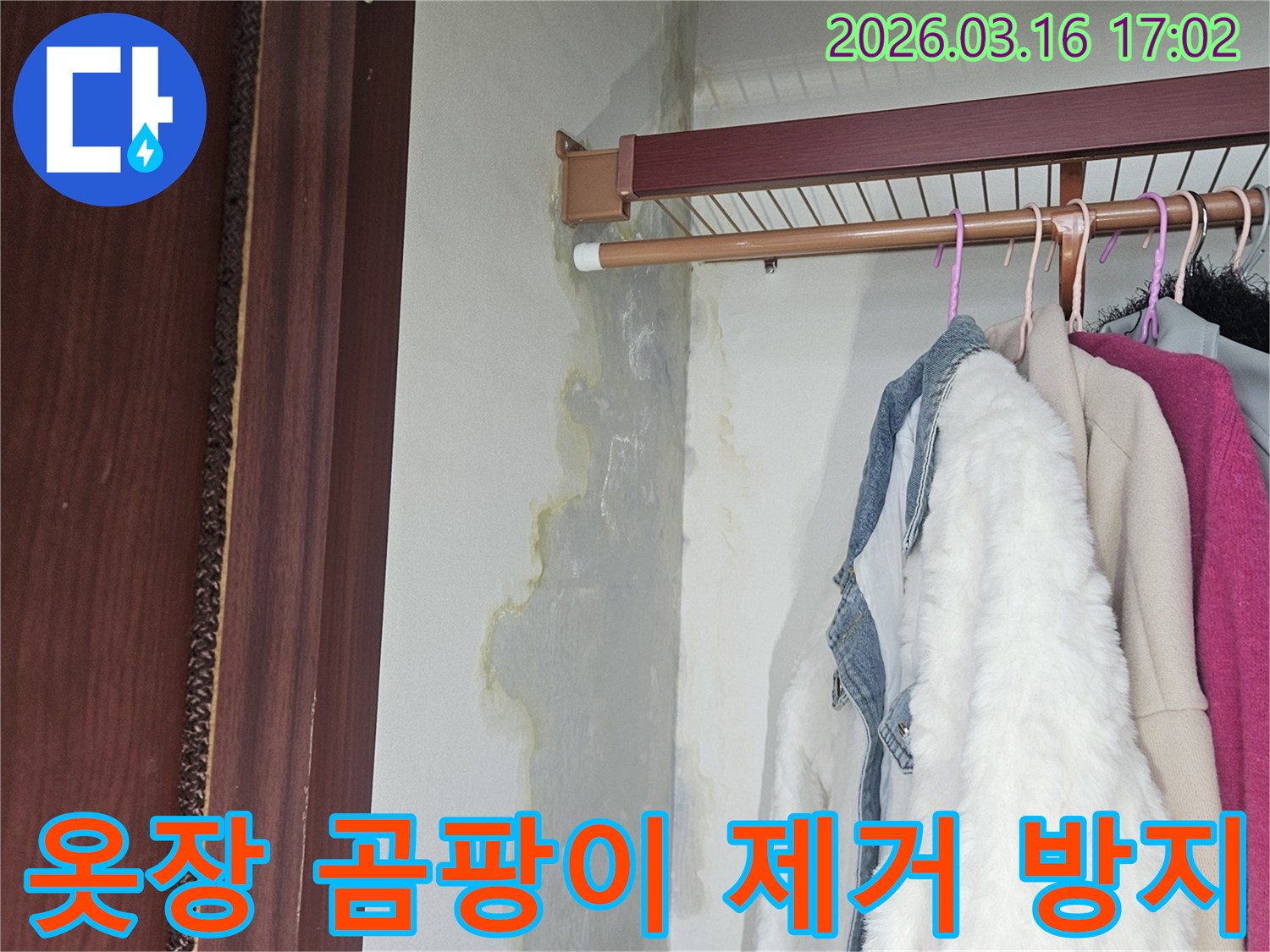 옷장 내부 벽면 하단과 바닥에-누수로 인해-발생한 곰팡이와-물자국이-선명한 모습