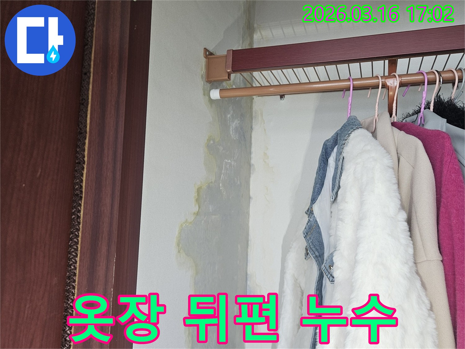 옷장 내부-벽면 하단부에-누수로 인한-얼룩과 습기가-넓게 퍼져있는 모습
