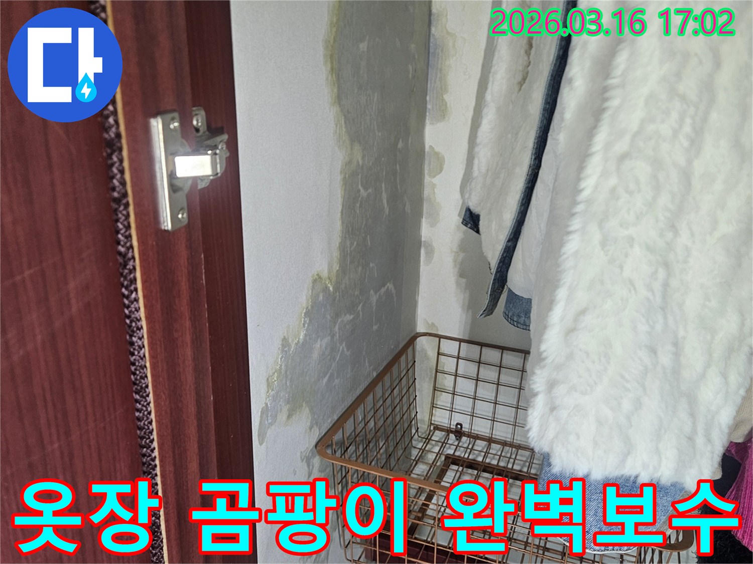 옷장 내부- 벽면에 생긴- 곰팡이와- 물기로 인한- 손상 부위