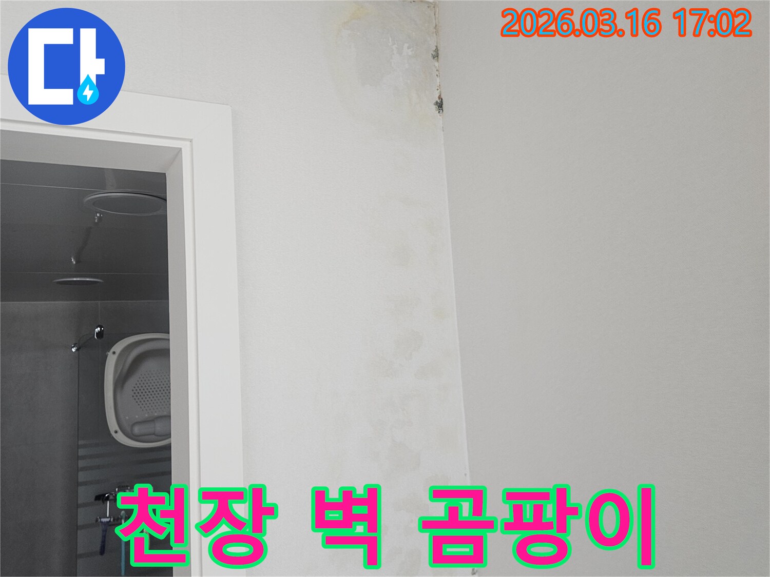 이 이미지는-천장과 벽이 만나는 모서리 부분에-누수로 인한 곰팡이와-벽지 손상이 발생한 모습을 보여줍니다.