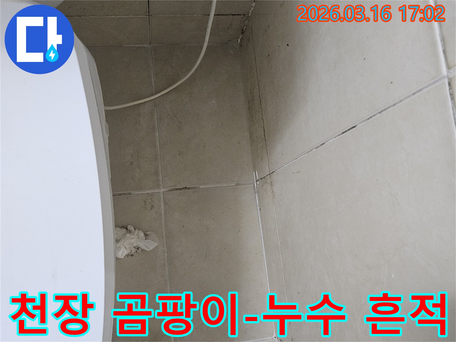 천장과 벽면 타일에 발생한 곰팡이와 누수 흔적을 보여주는 사진입니다-이는 윗집 누수나 배관 문제로 인한 습기 축적을 나타냅니다