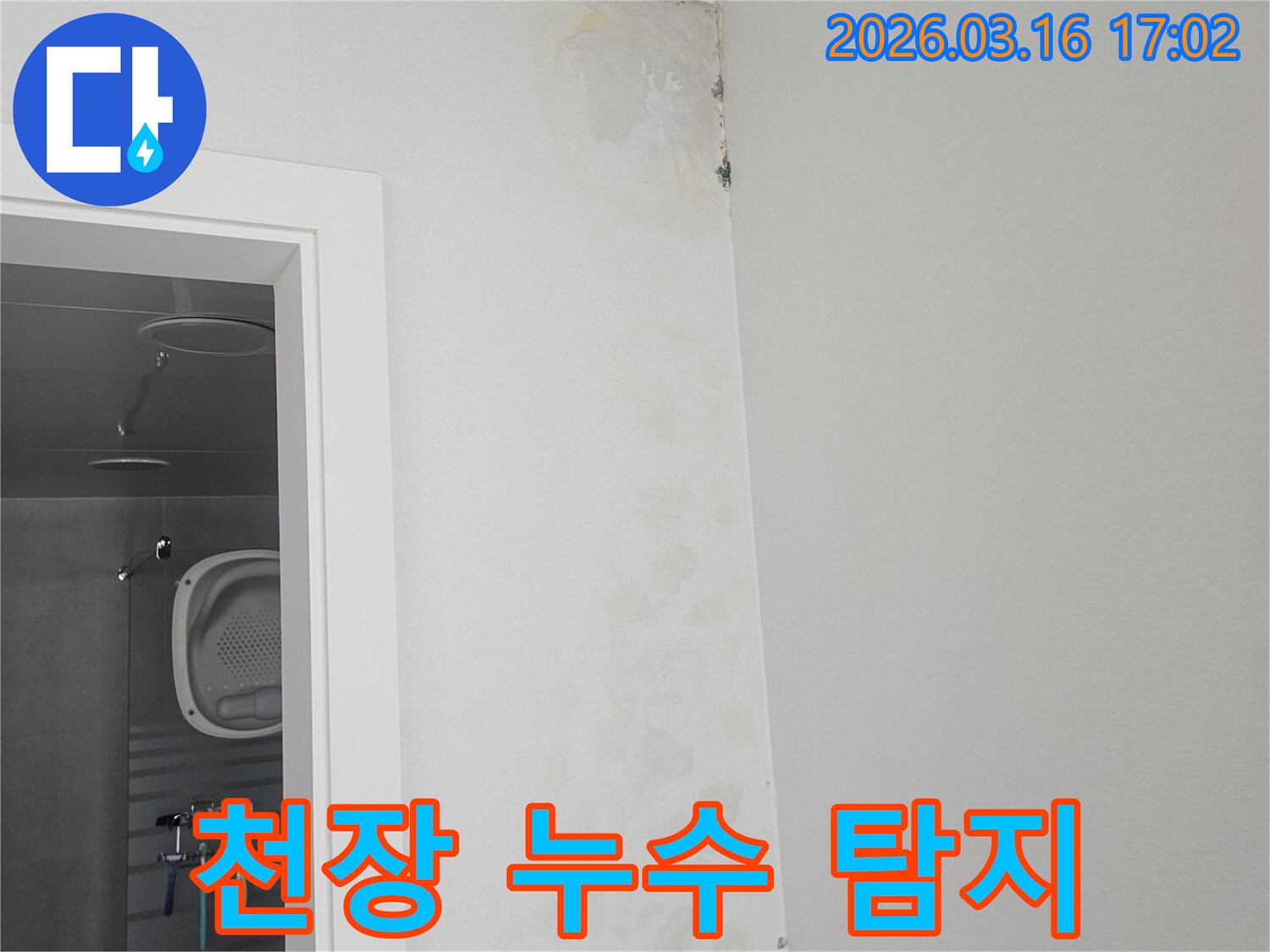 천장과 벽이 만나는-모서리 부분에-누수로 인한-물자국과 곰팡이가-보이는 것을-정밀하게 탐지하는 현장 사진입니다.