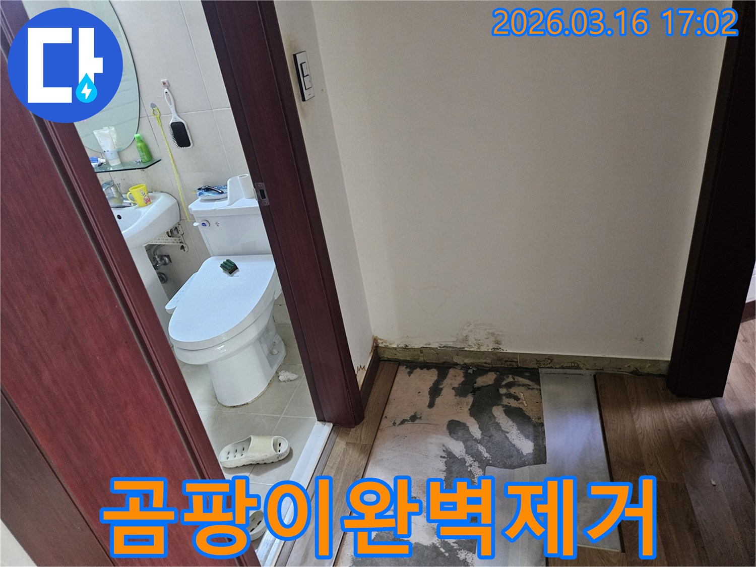 화성 병점구 아파트-화장실 누수로-인해-벽면 하단부에-곰팡이가 피고-바닥재가 손상된-현장 점검 사진