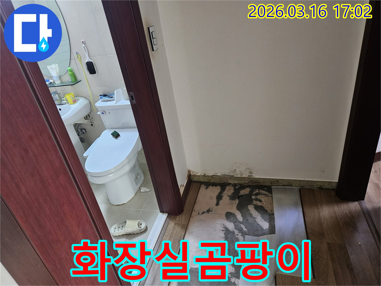 화장실 누수로-인해-벽면 하단부에-곰팡이가 피고-바닥재가 손상된-현장 점검 사진