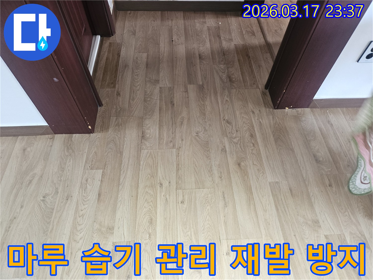 누수 발생 후-바닥 마루의 습기를 관리하고-장기적인 유지보수를 위한-점검 과정을 보여주는 사진입니다.
