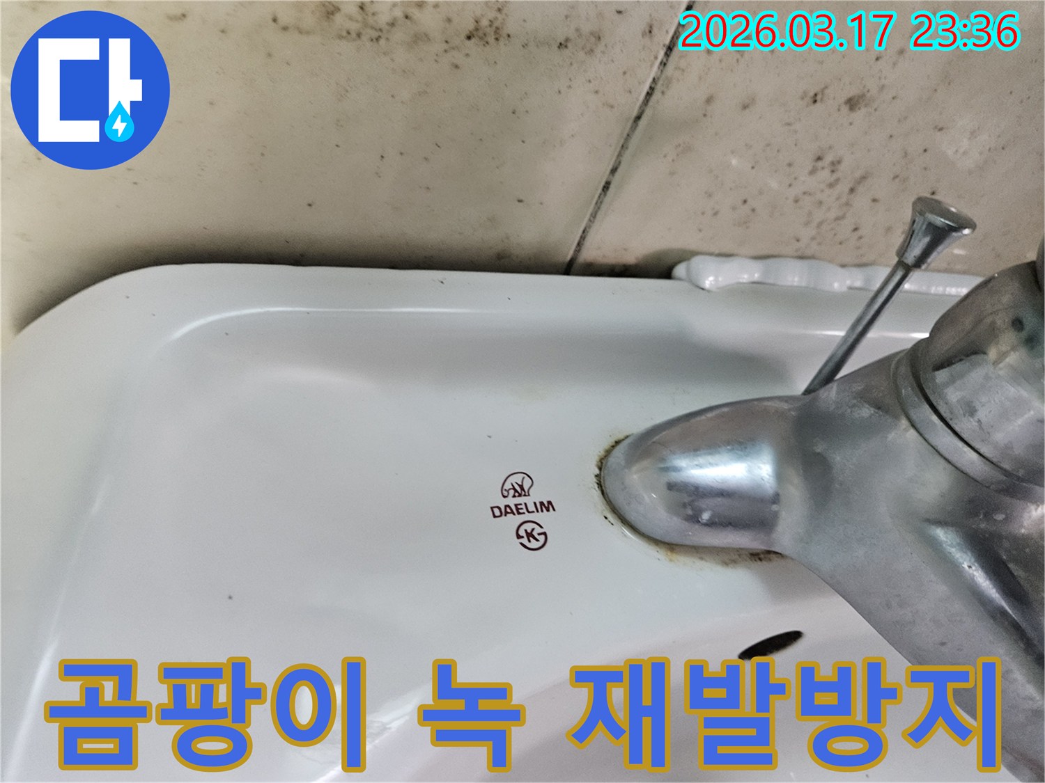 대림 세면대 뒤편 벽에- 번식한 곰팡이와- 수도꼭지 하단에- 녹슨 흔적이- 재발 방지 대책의 필요성을 보여줍니다