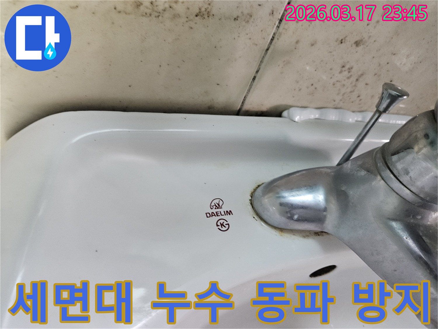 대림 세면대 수도꼭지 주변의 물때와-벽면에 번진 검은 곰팡이가-겨울철 동파 방지 및 예방이 필요한 누수 현장을 보여줍니다.