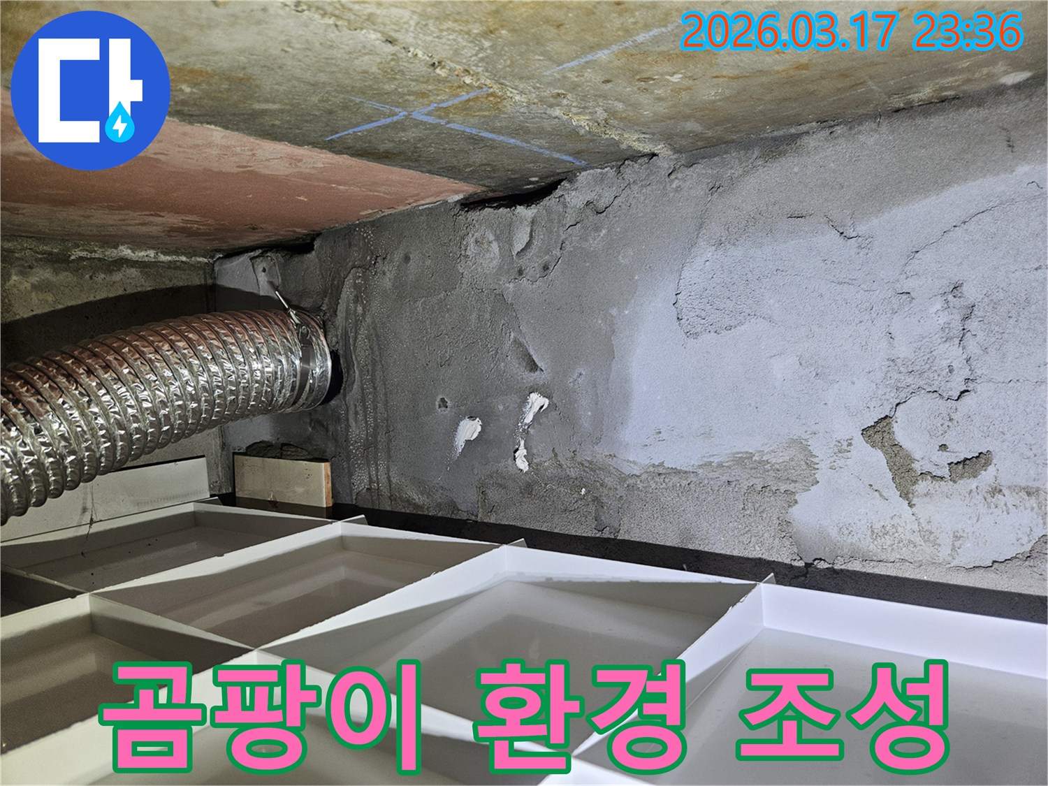물에 젖어 습한 환경이 된-누수 현장에서-곰팡이 예방 및 건강한 주거 환경 조성