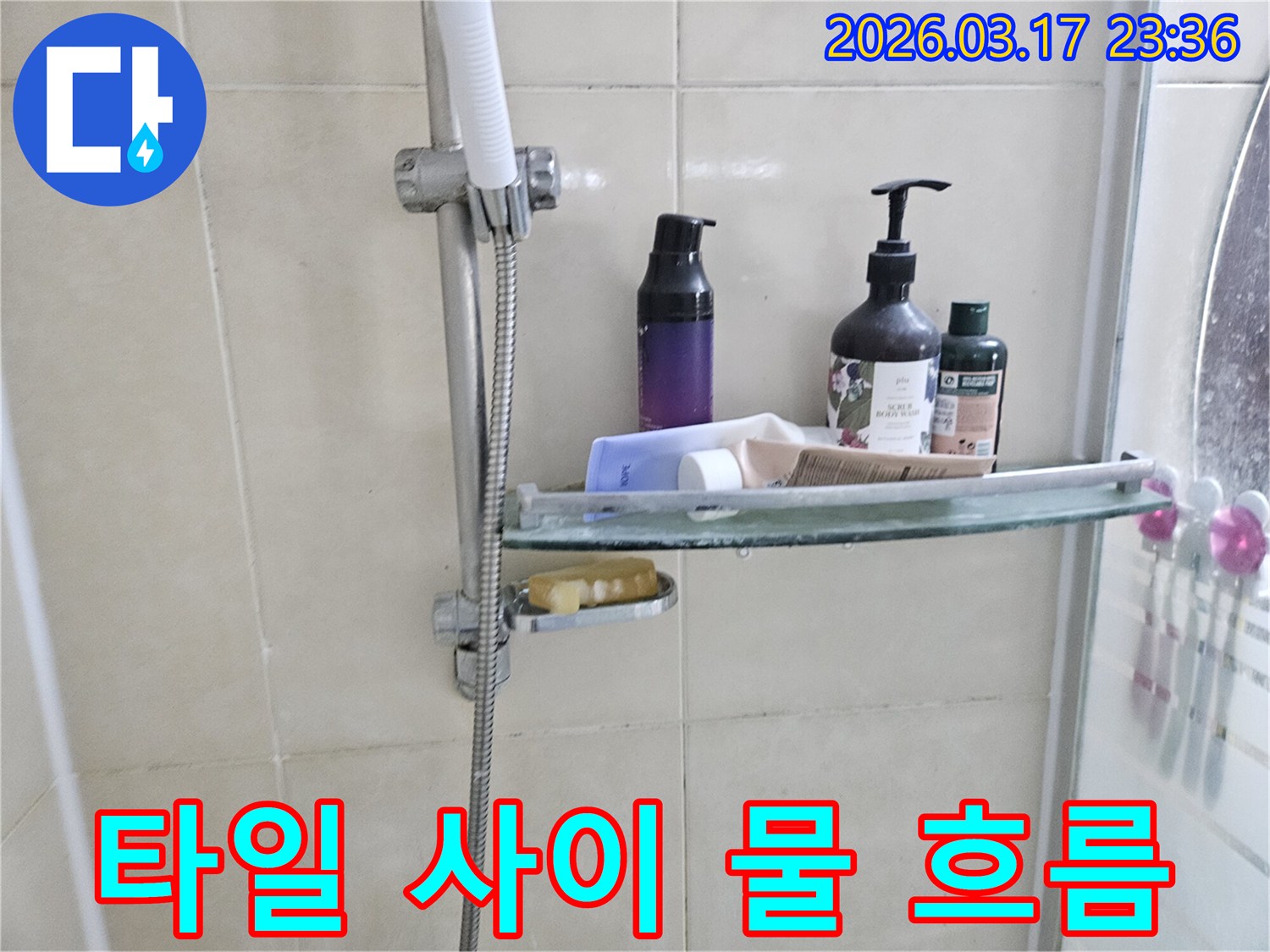 샤워 부스 내-유리 선반 밑으로-물방울이 맺혀-떨어지기 직전의-누수 현장을 담은 이미지입니다