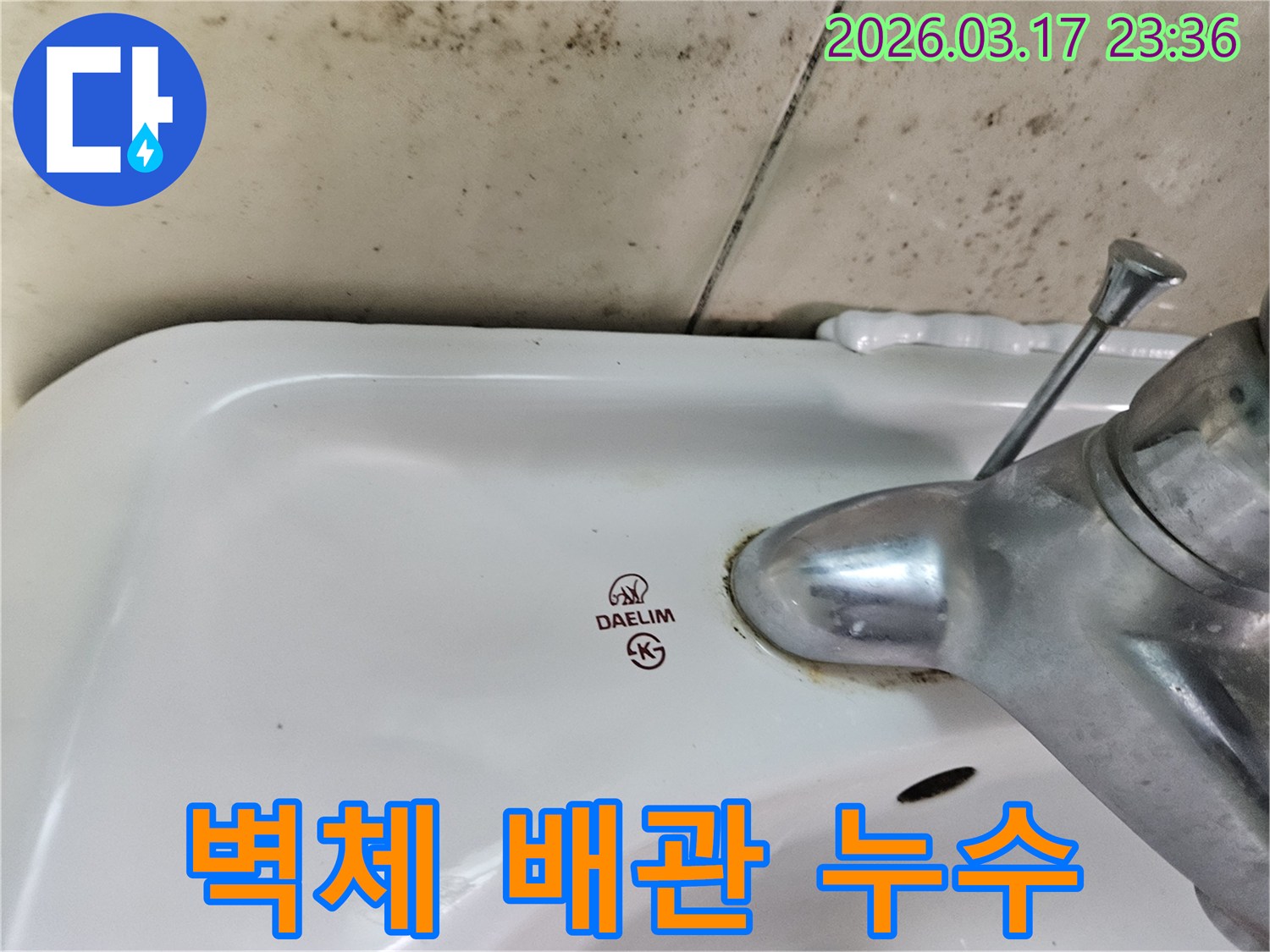세면대 뒤편 벽에- 심각하게 번식한 곰팡이가- 벽체 내부 배관 누수를- 강력히 시사합니다