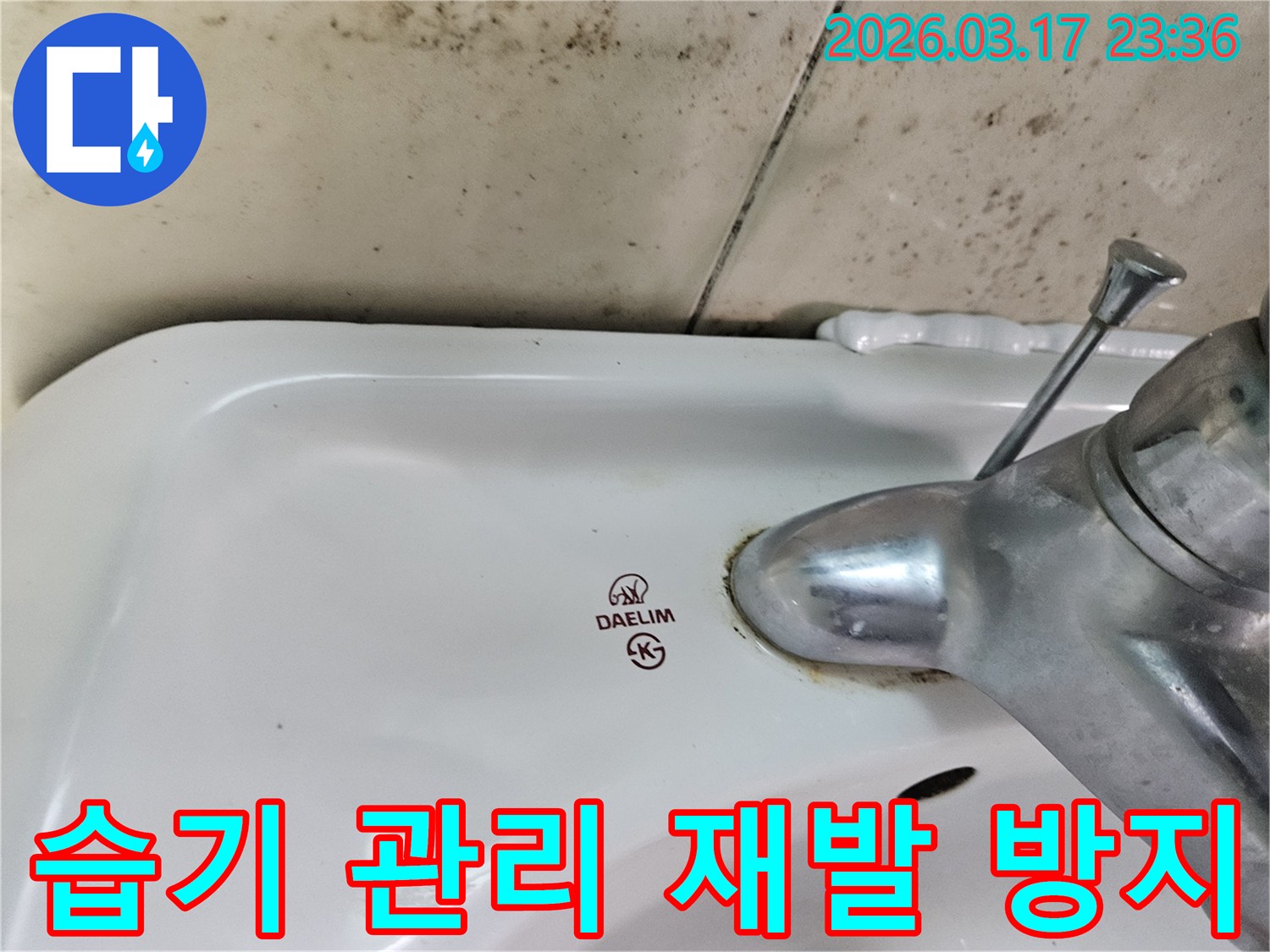 세면대 뒤편 벽에- 심각하게 번식한 곰팡이가- 욕실 습기 관리의- 중요성을 강조하며- 재발 방지 대책이 필요함을 보여줍니다