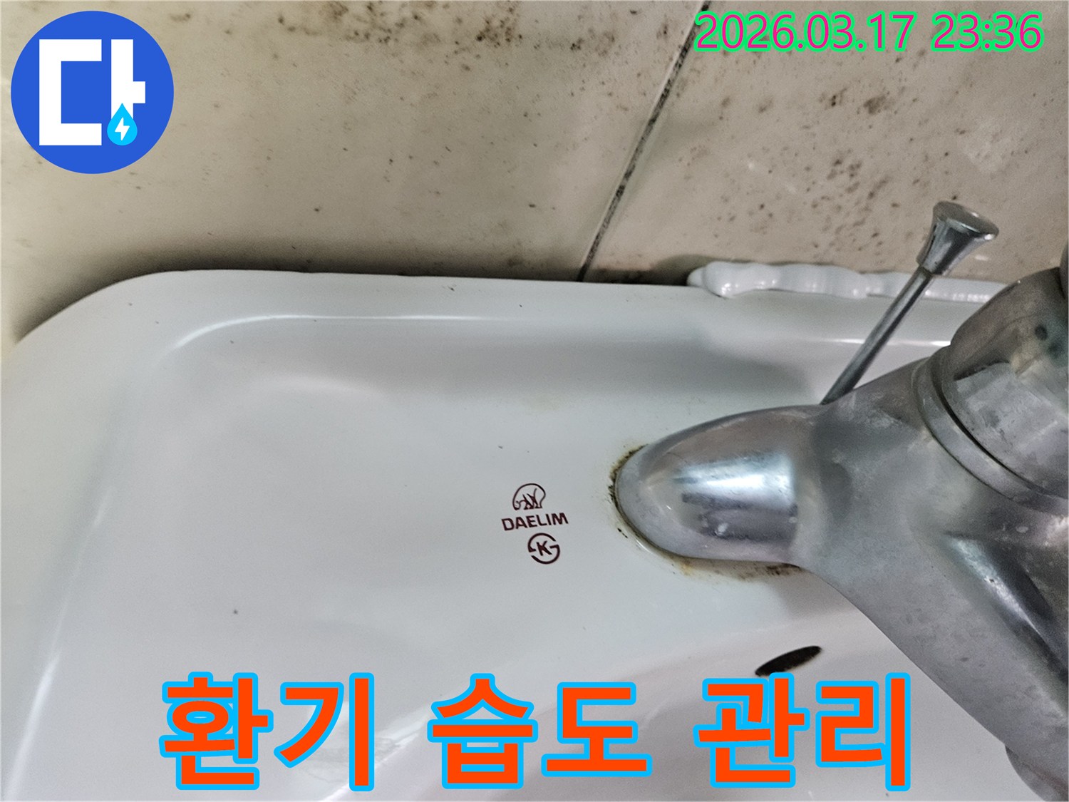 세면대 뒤편 벽에- 심각하게 번식한 곰팡이가- 환기 및 습도 관리의- 중요성을 시사합니다