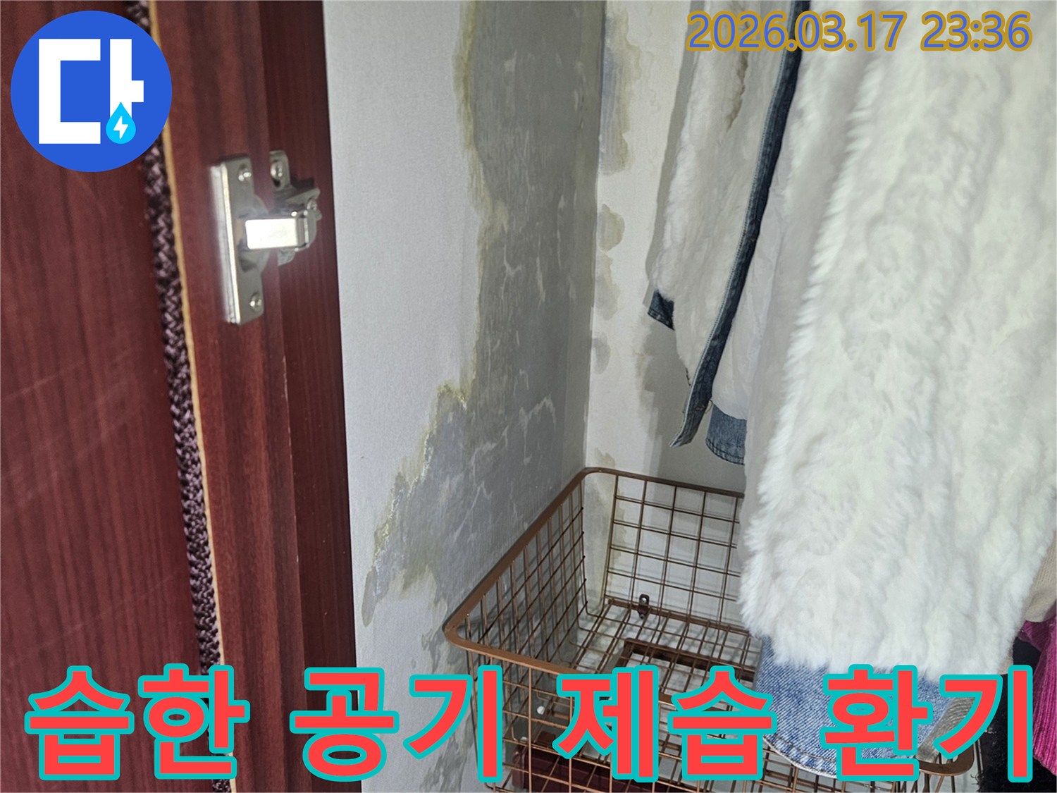 수납 공간의 습한 공기-누수 해결 후 환기 및 제습 솔루션으로 쾌적함을 유지합니다